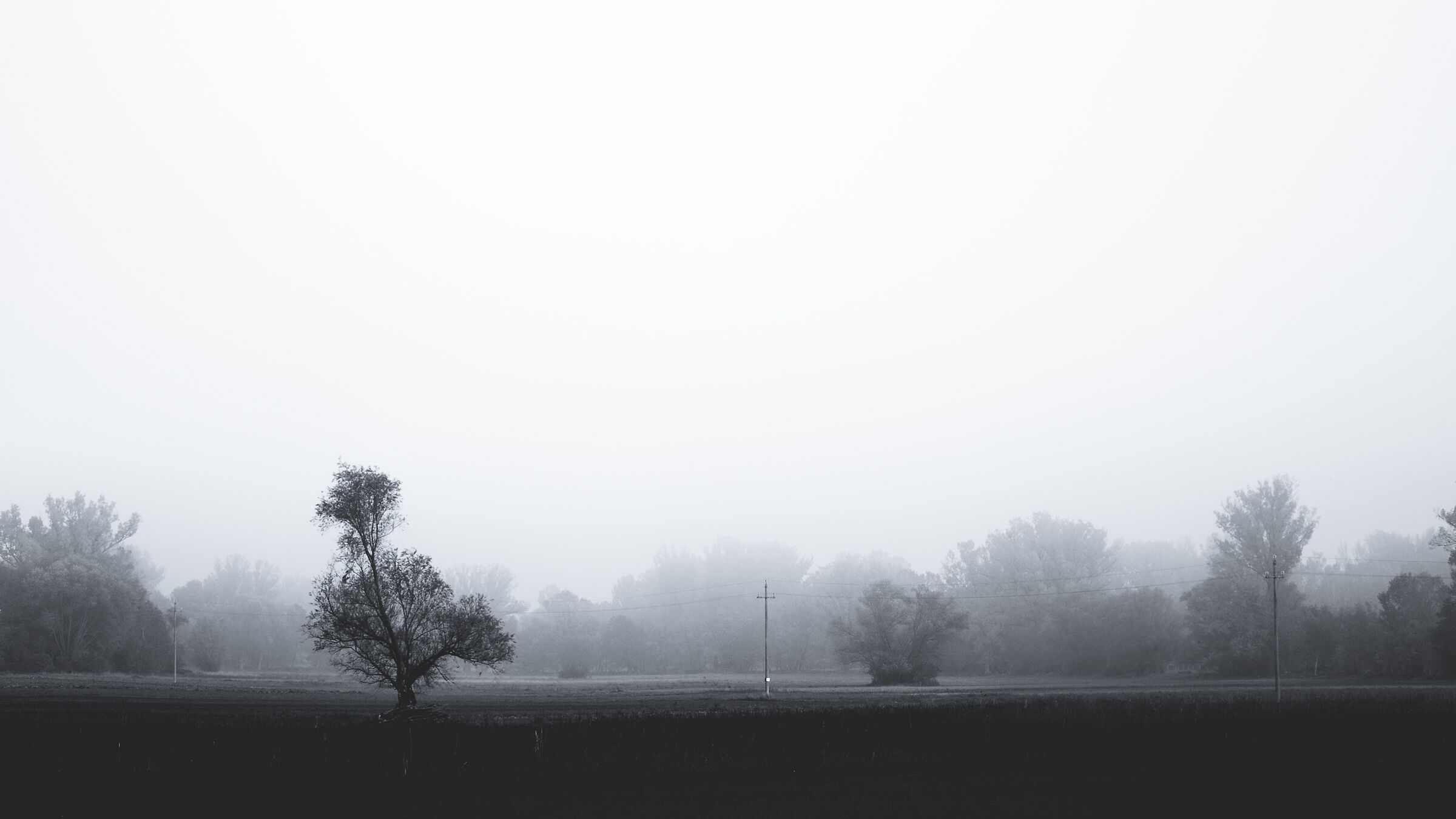 Untitled Photo