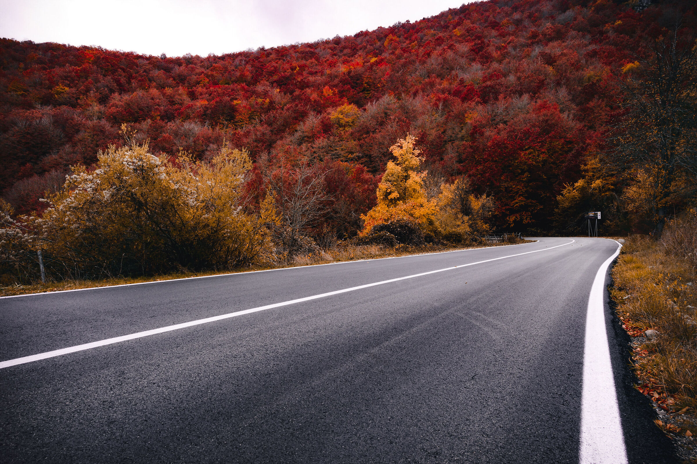 La strada si tinge di rosso.