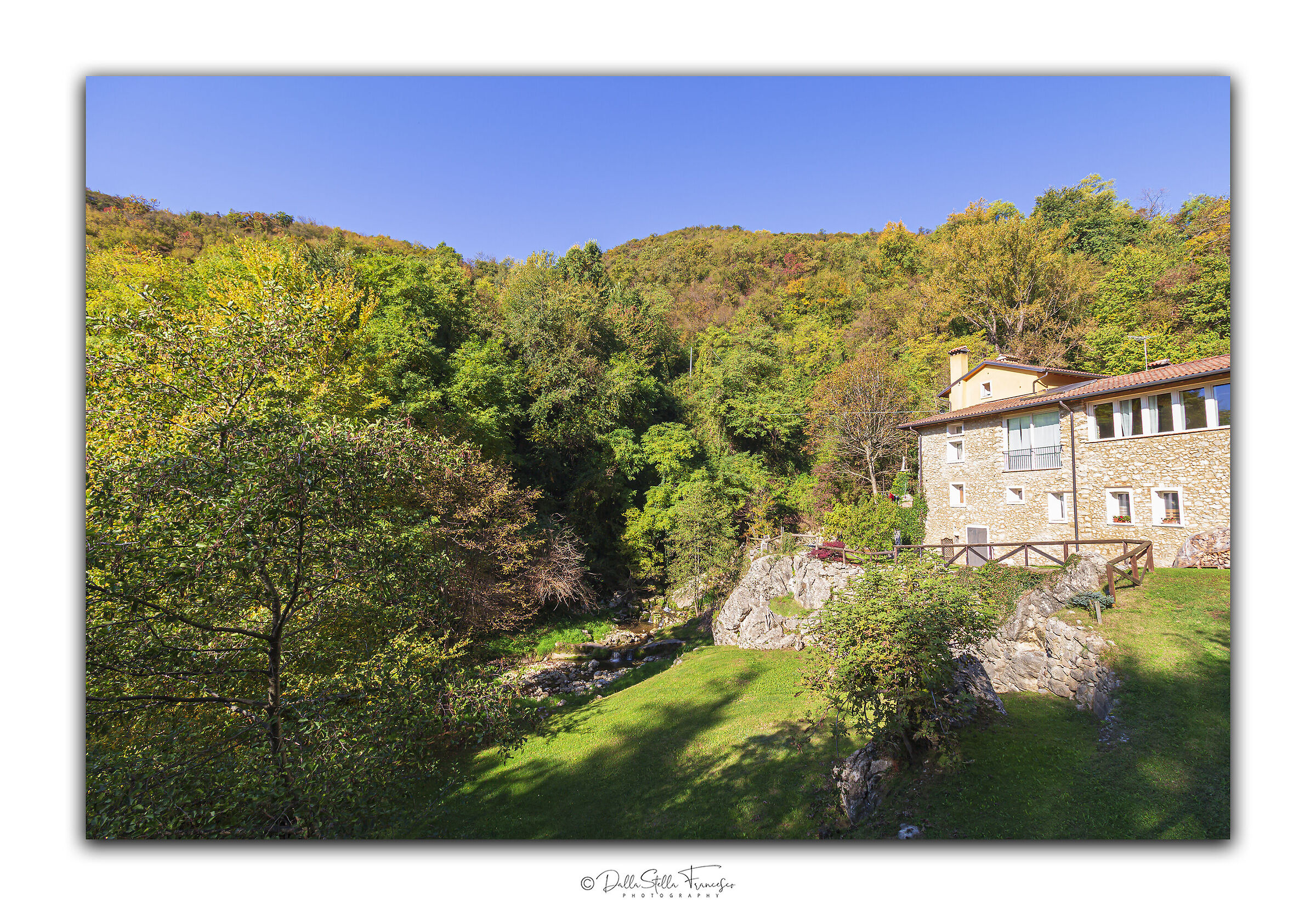 The first autumn colors in the vicinity of Salcedo