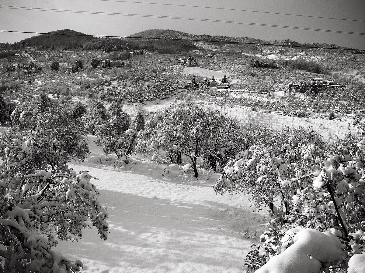giogoli sotto la neve