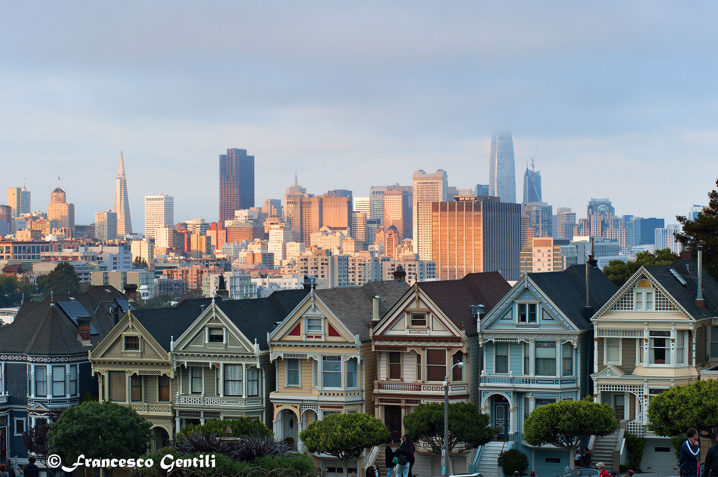 Painted ladies