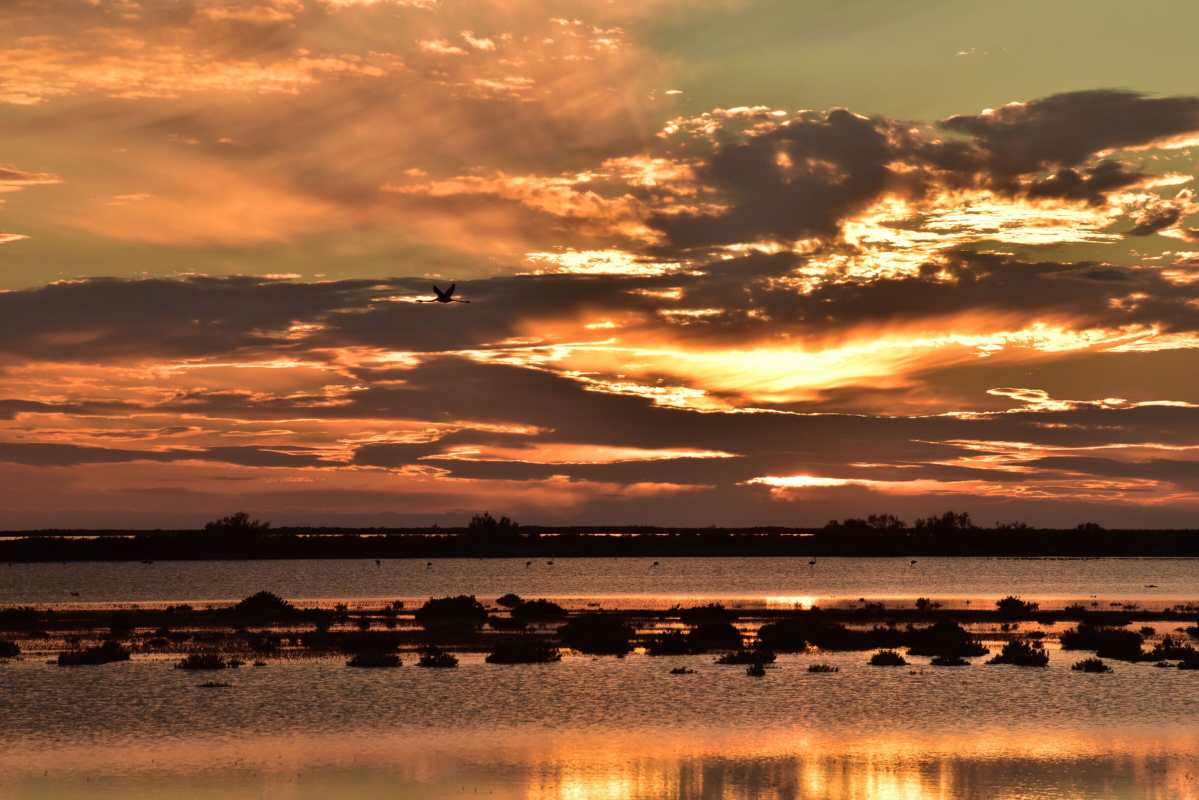 Tramonto in Camargue