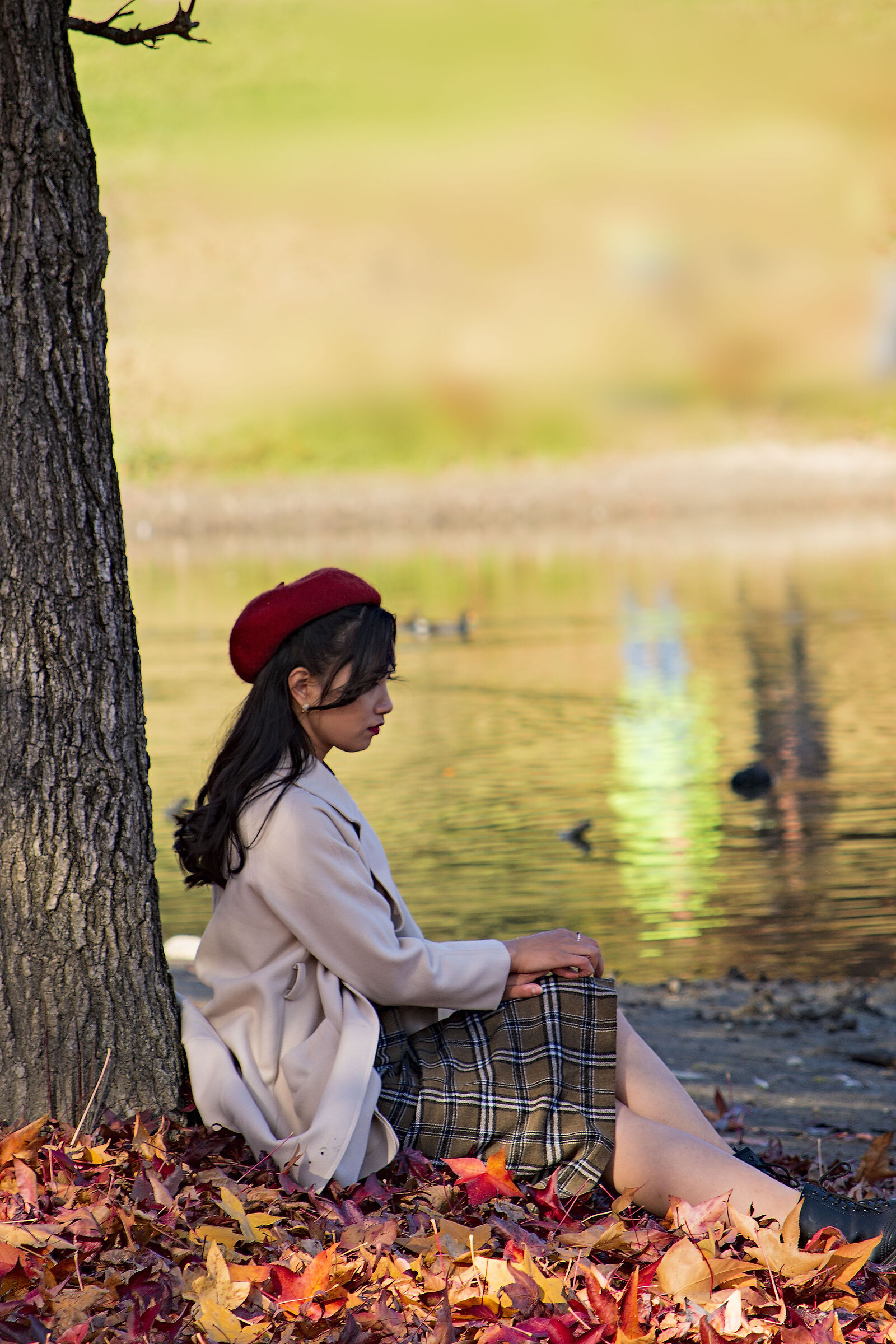 L autunno è i suoi colori