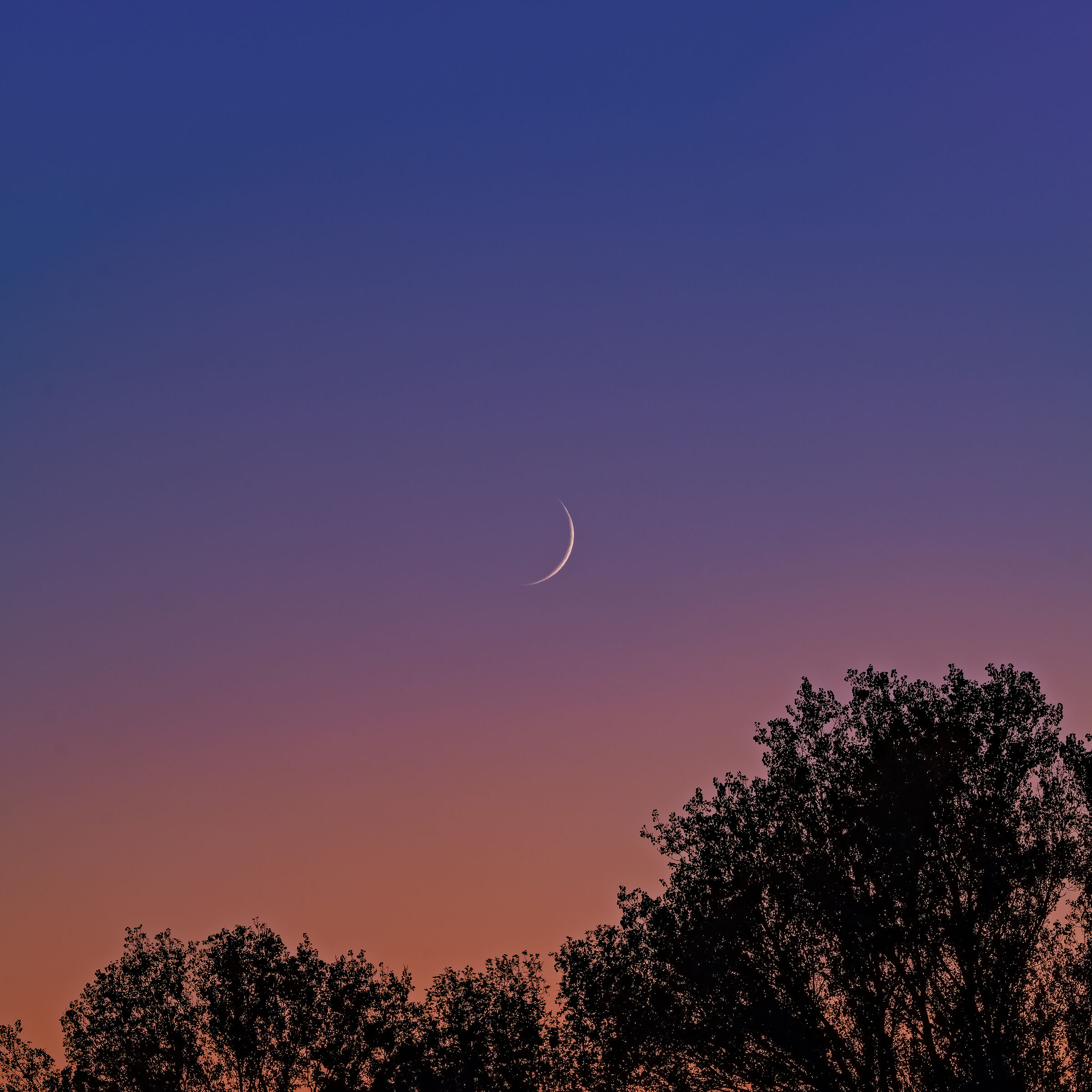 A caccia della luna nuova