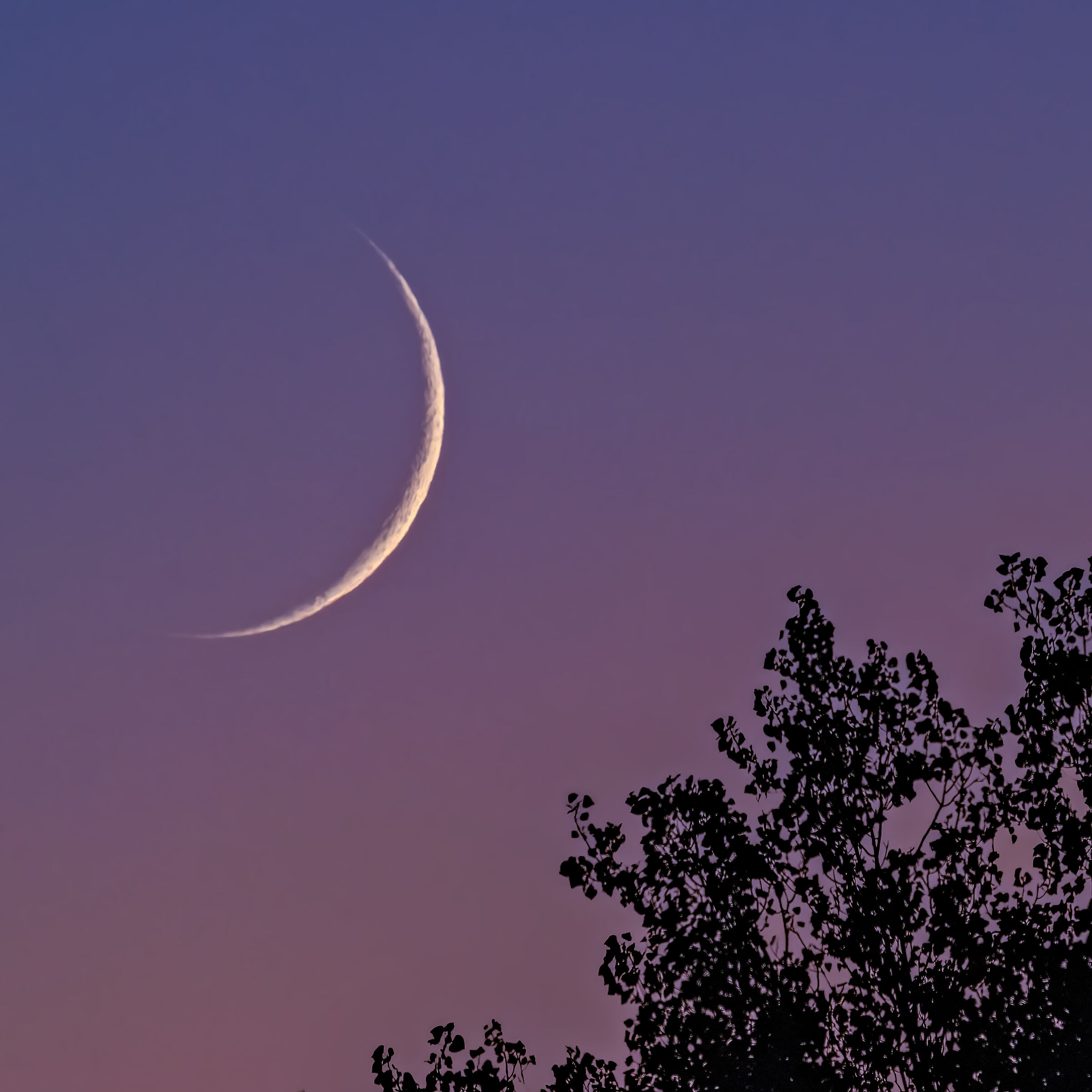 A caccia della luna nuova