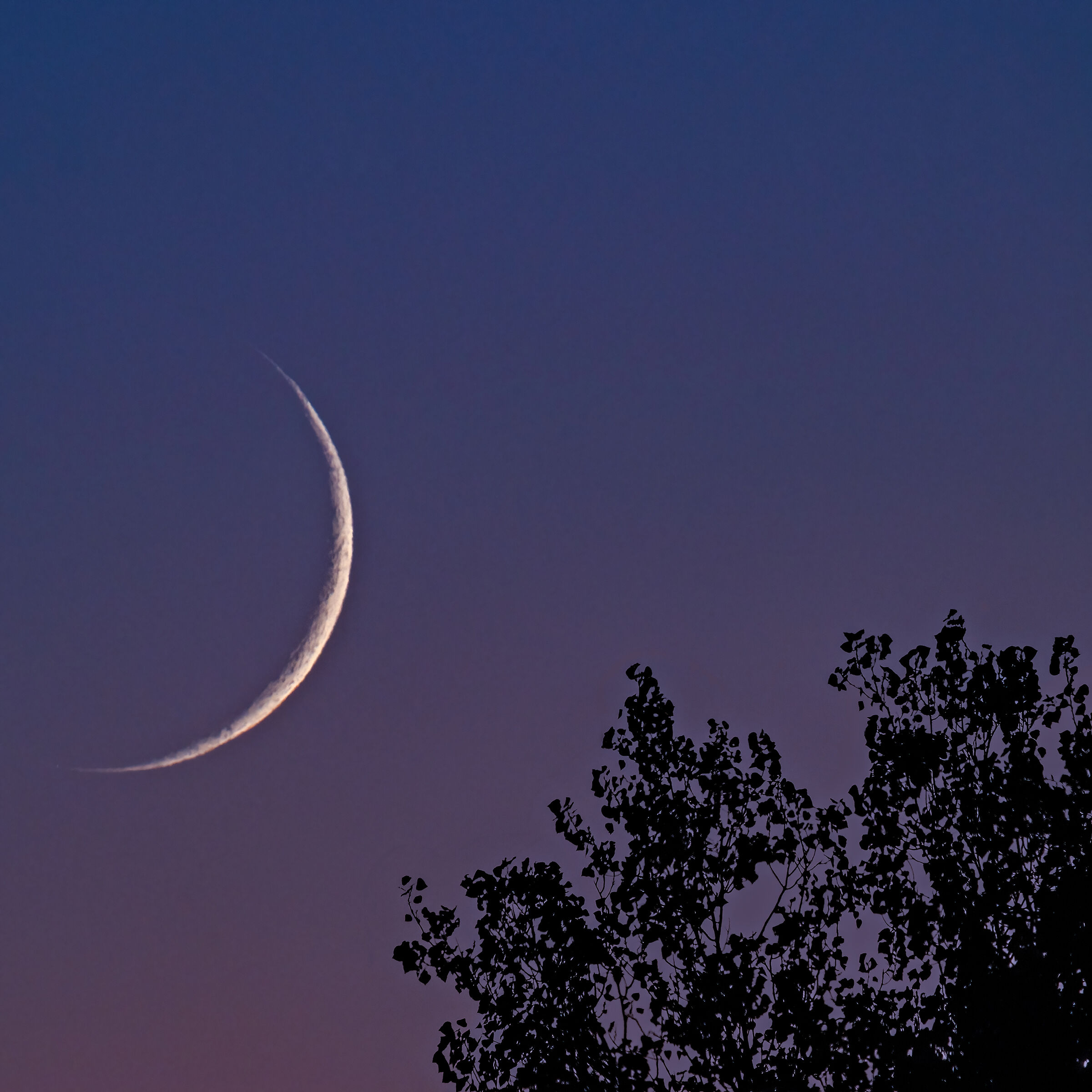A caccia della luna nuova