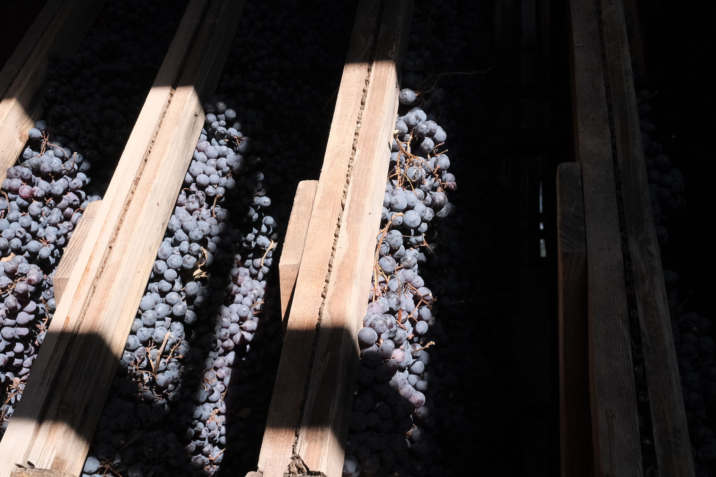 The magic of Valpolicella