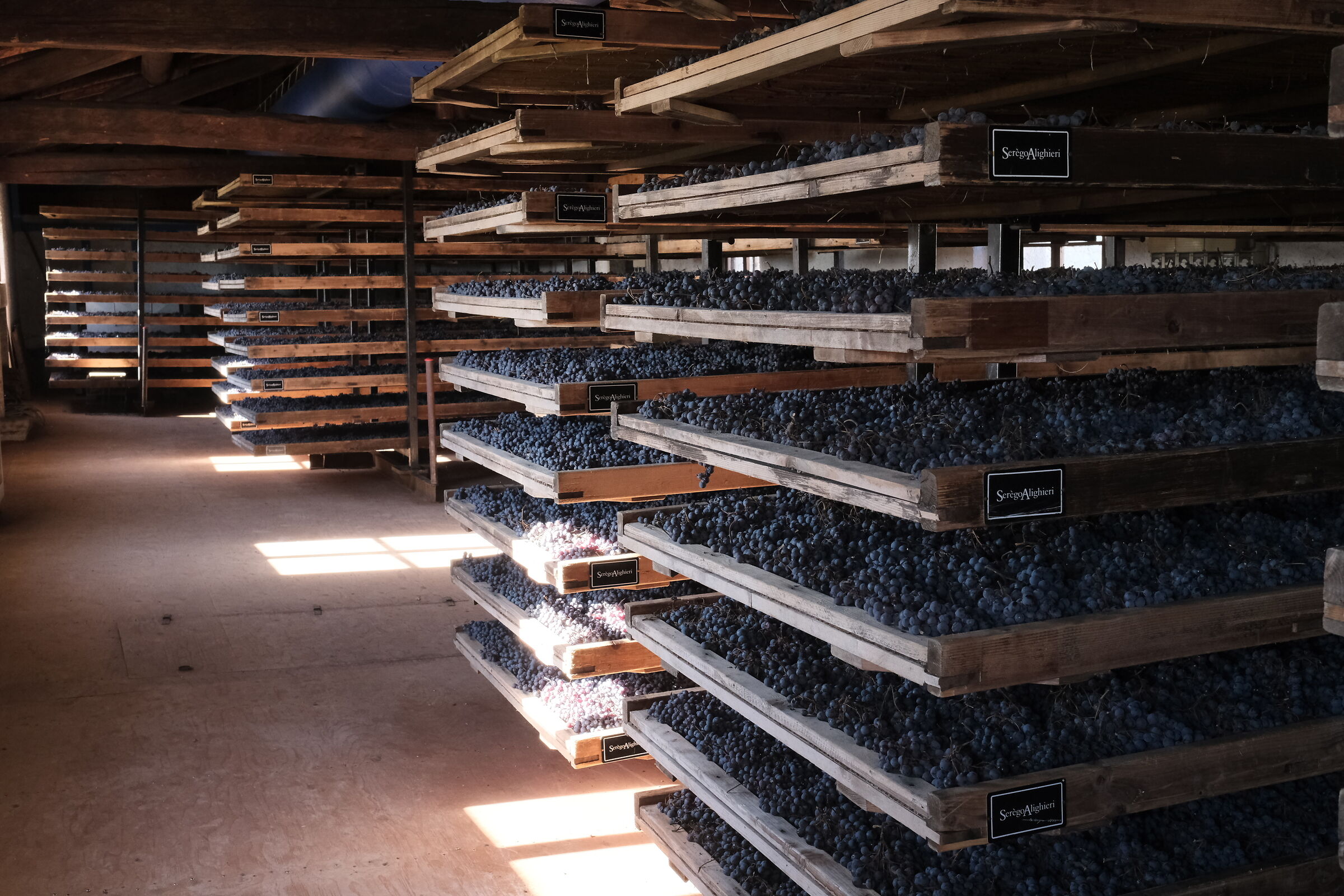 The magic of Valpolicella