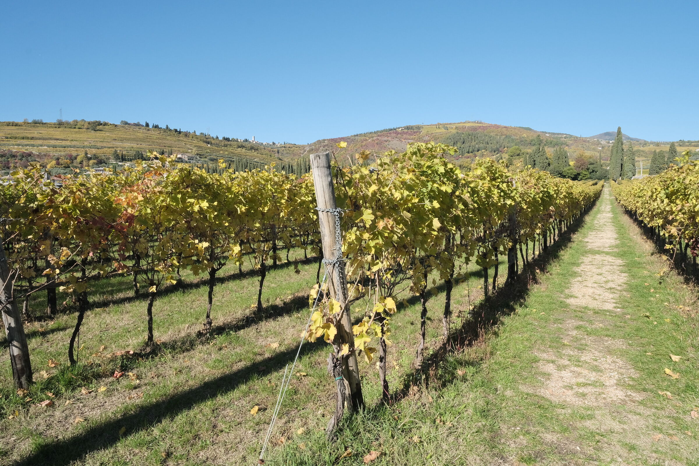 The magic of Valpolicella