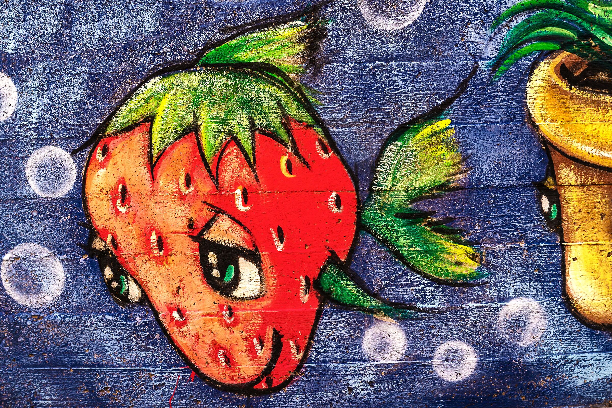 the fish .... strawberry