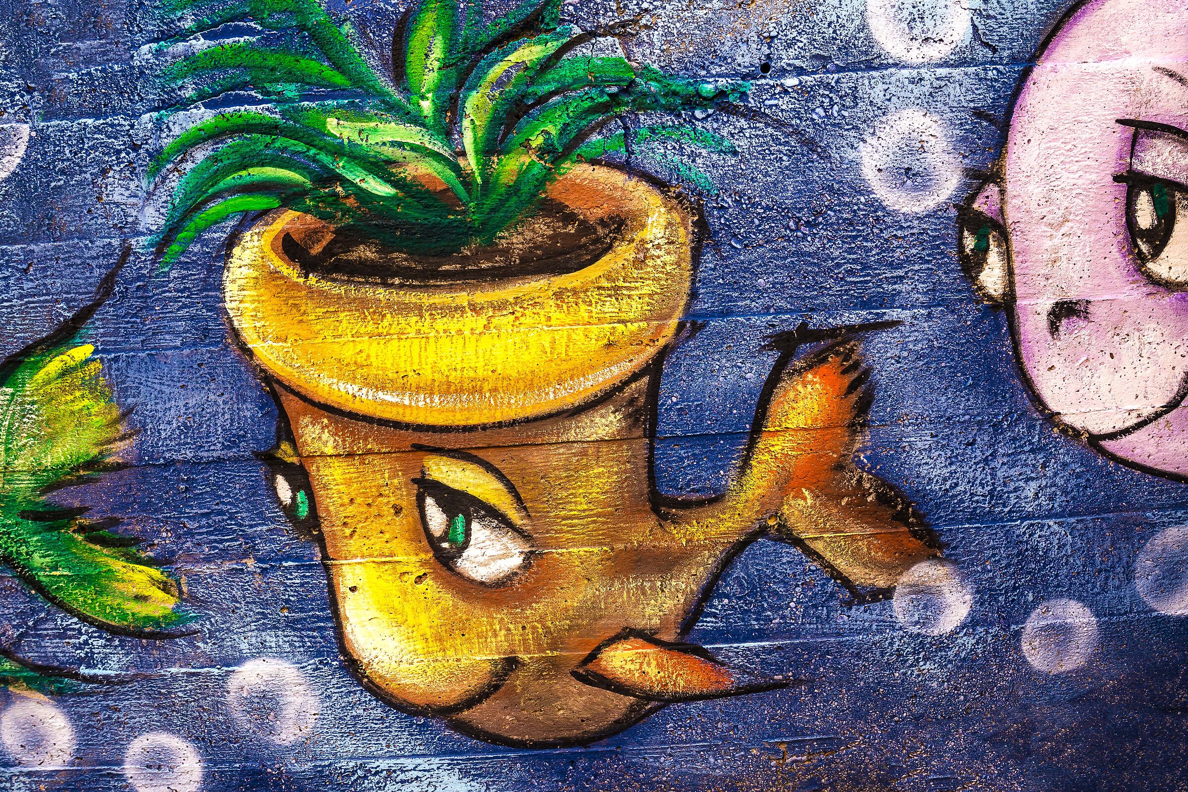 the fish ..... pipe