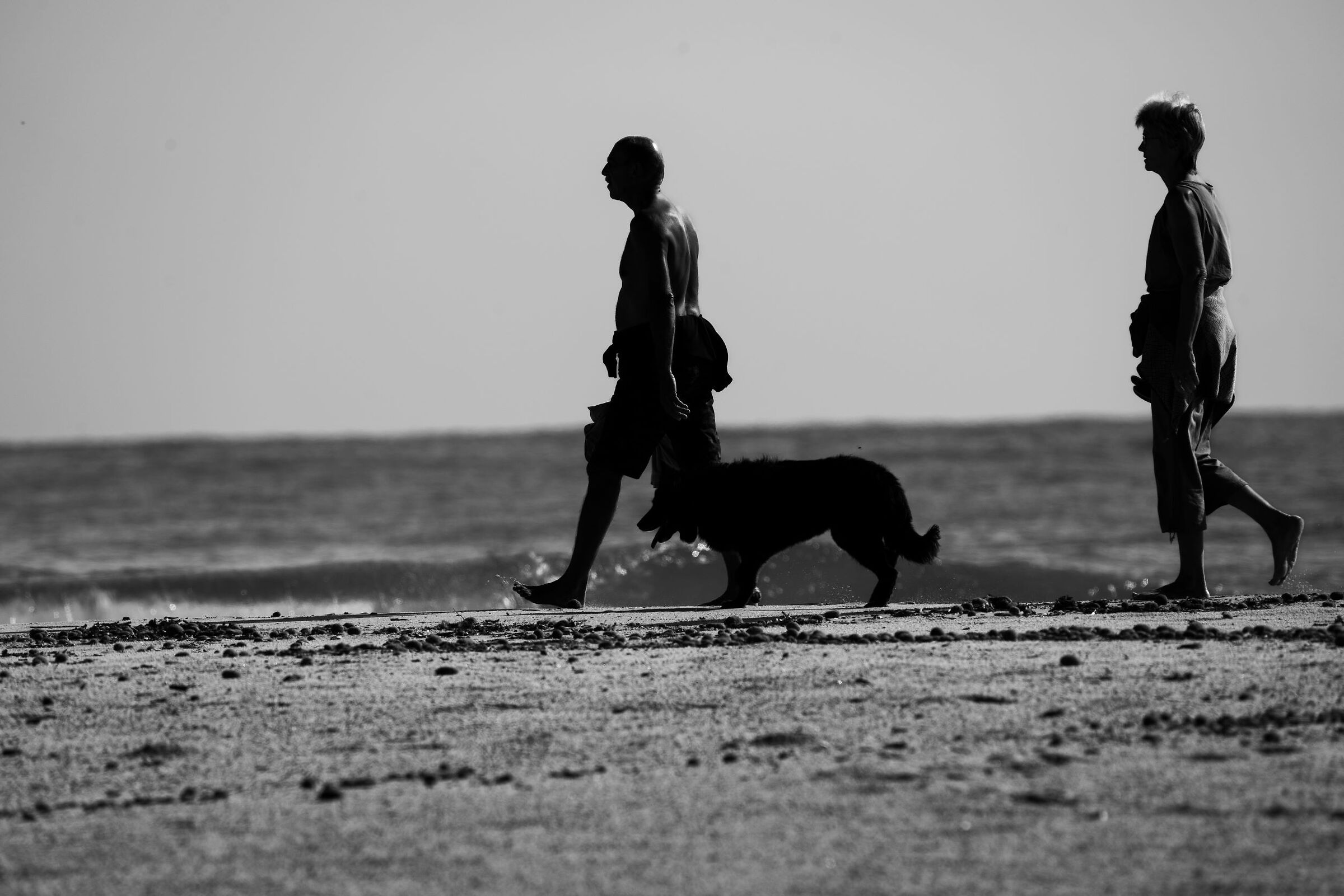 Il migliore amico dell'uomo