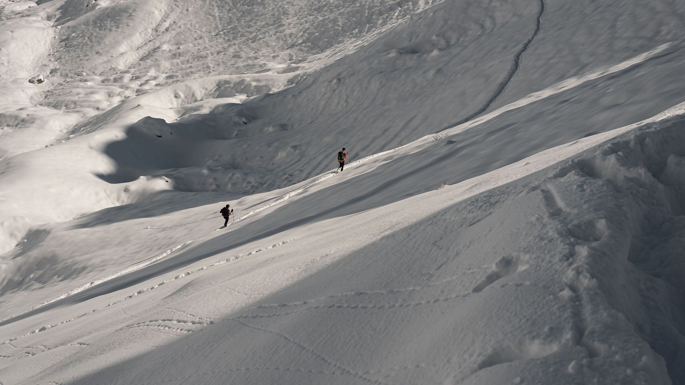 Seguendo la traccia.