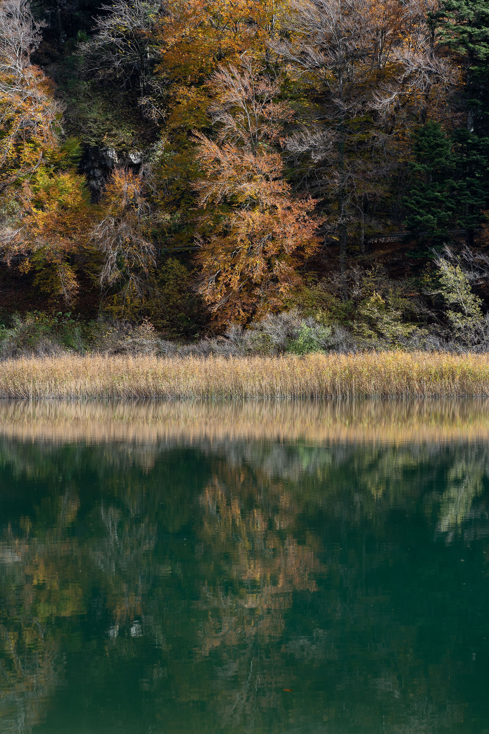 Lago Santo (Monte Terlago - Trentino - Italia)