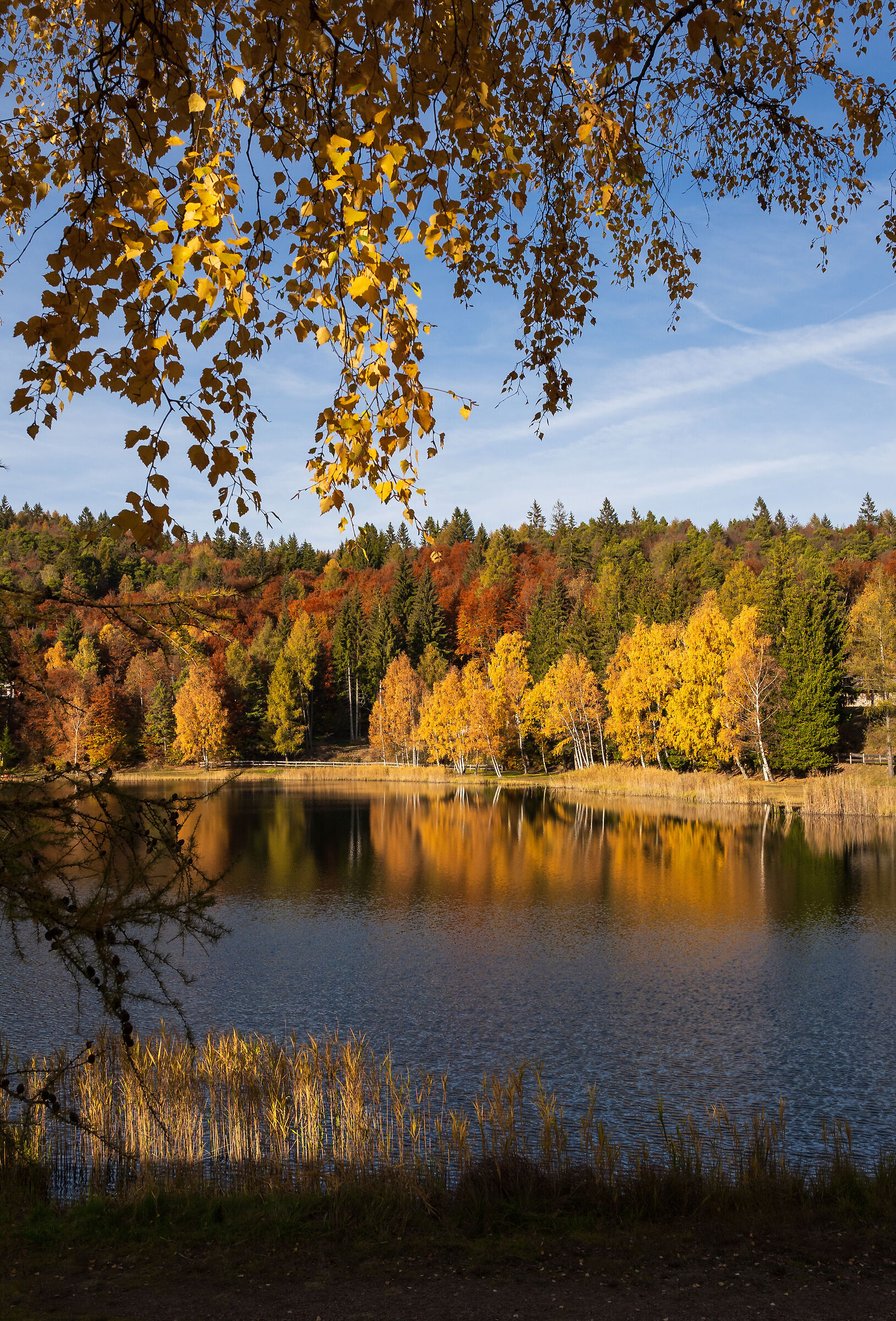 Autunno al Lago Santo (Val di Cembra - Trentino)