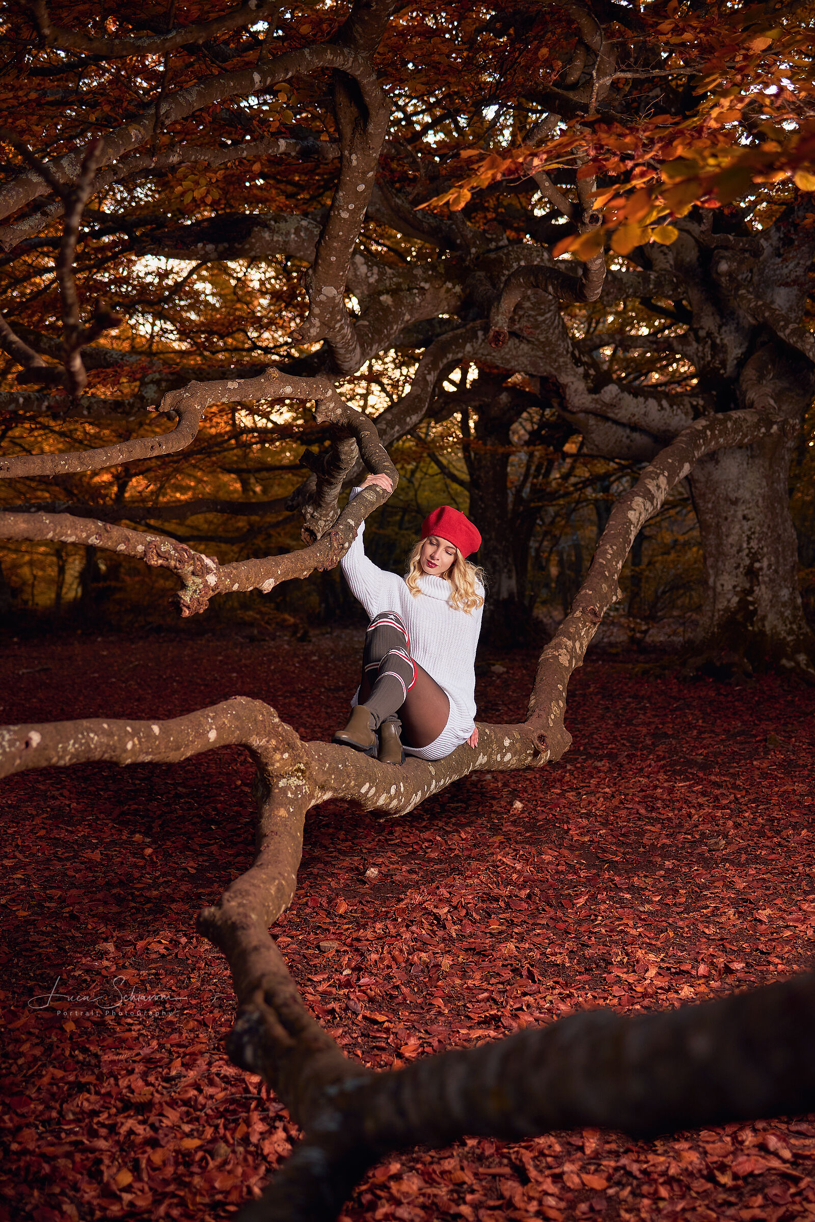 Autumn Call