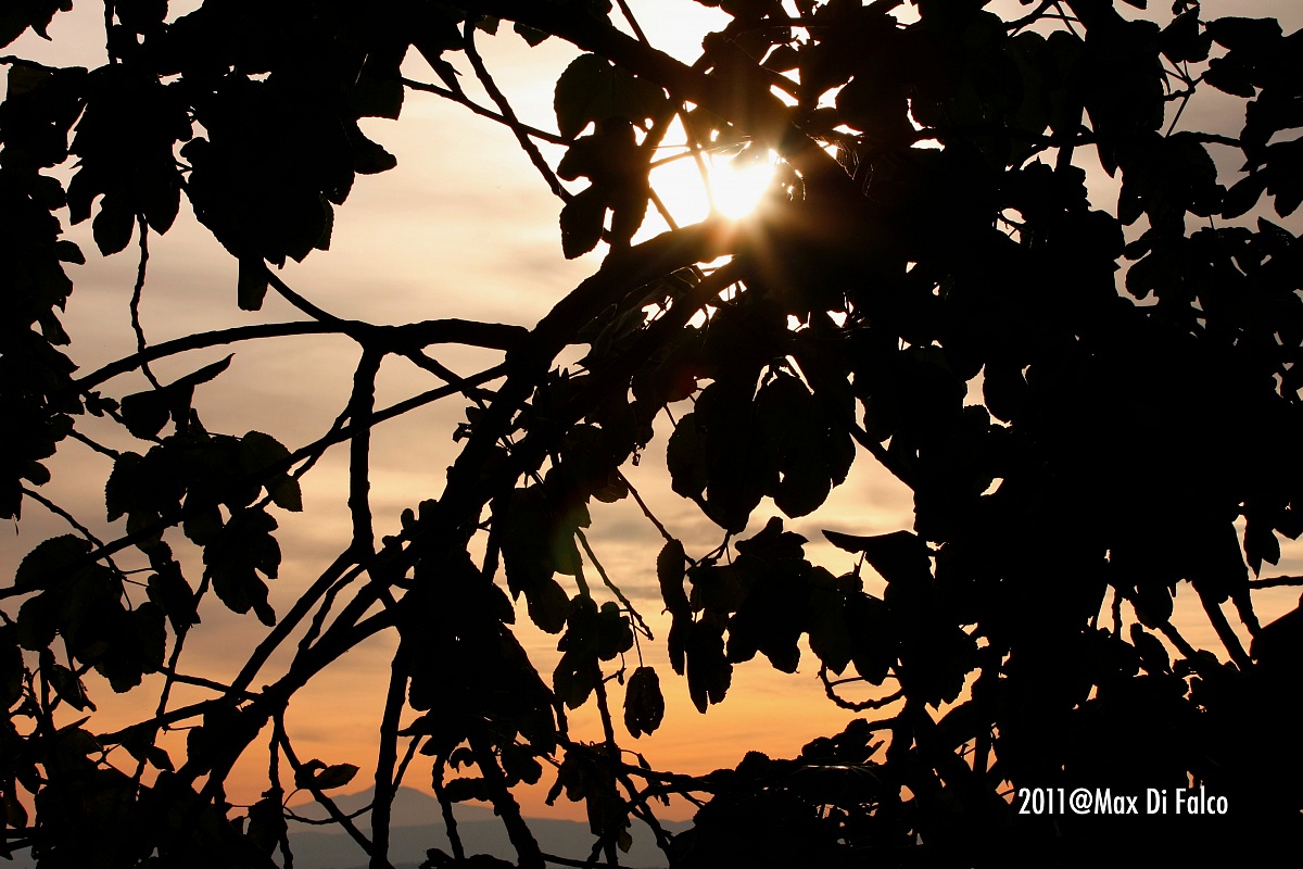 One shot of my lovely girlfriend