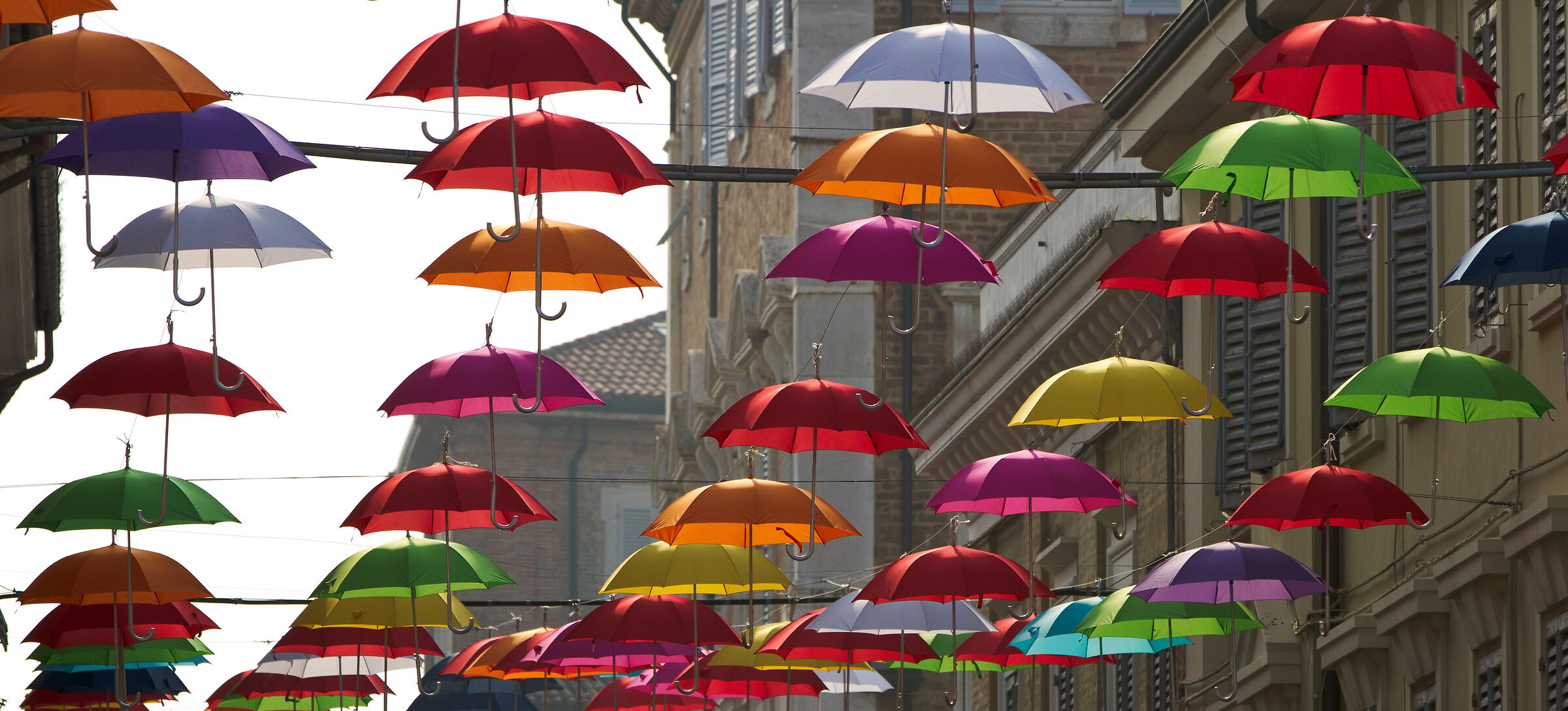 Umbrellas against violence