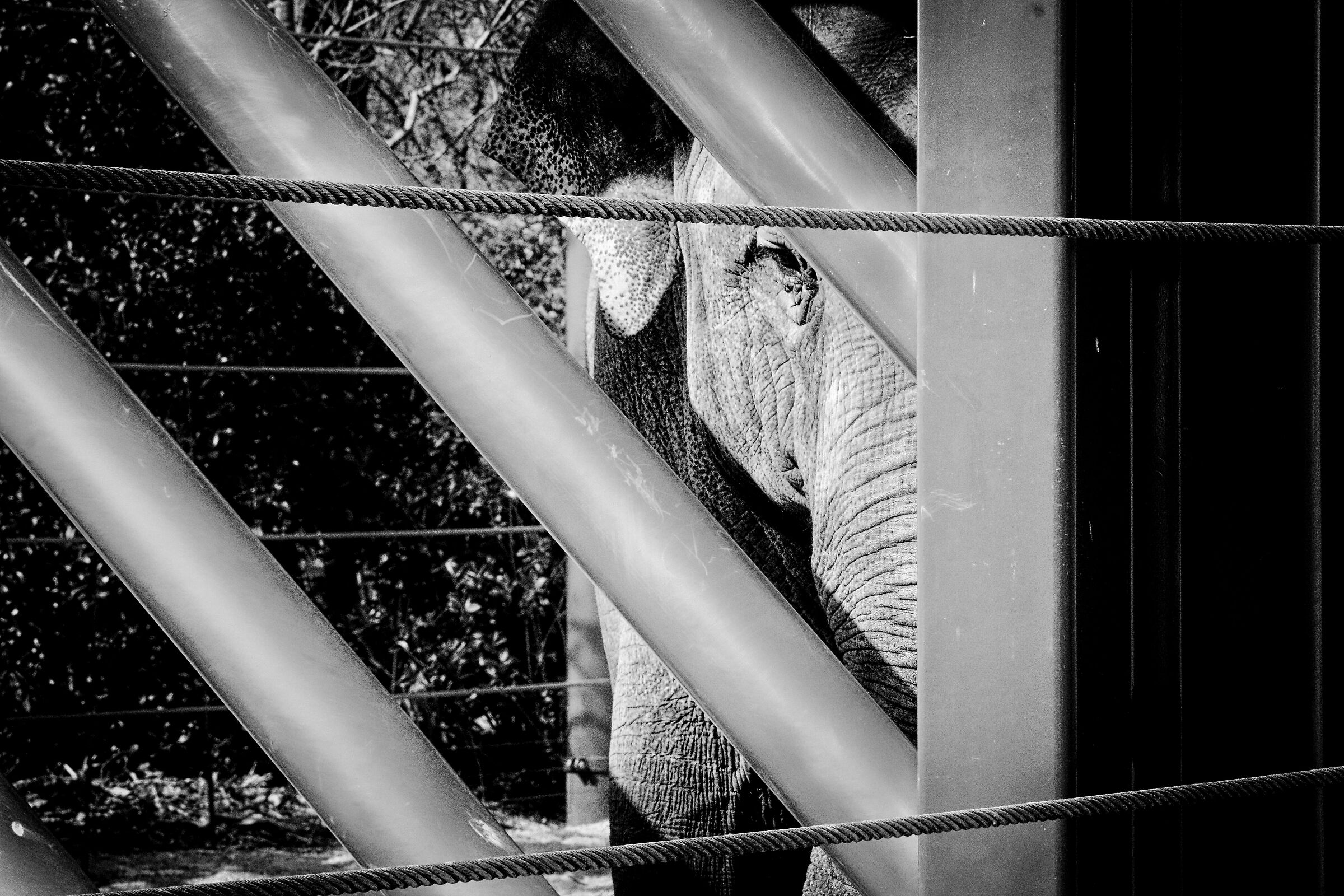 I'm looking you. Are you really looking at me?