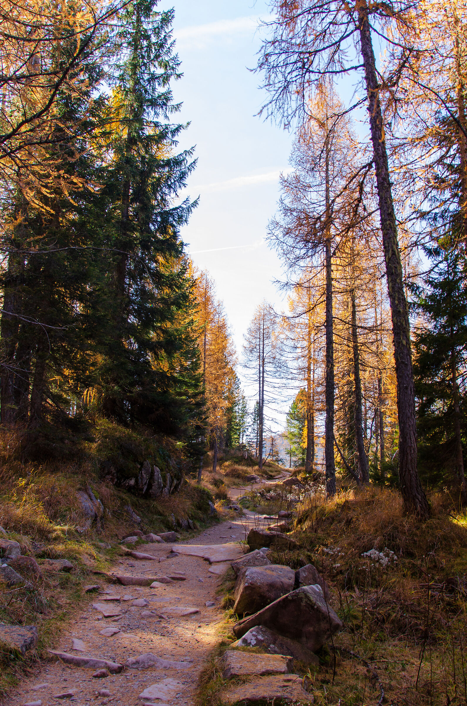 Autumn trails