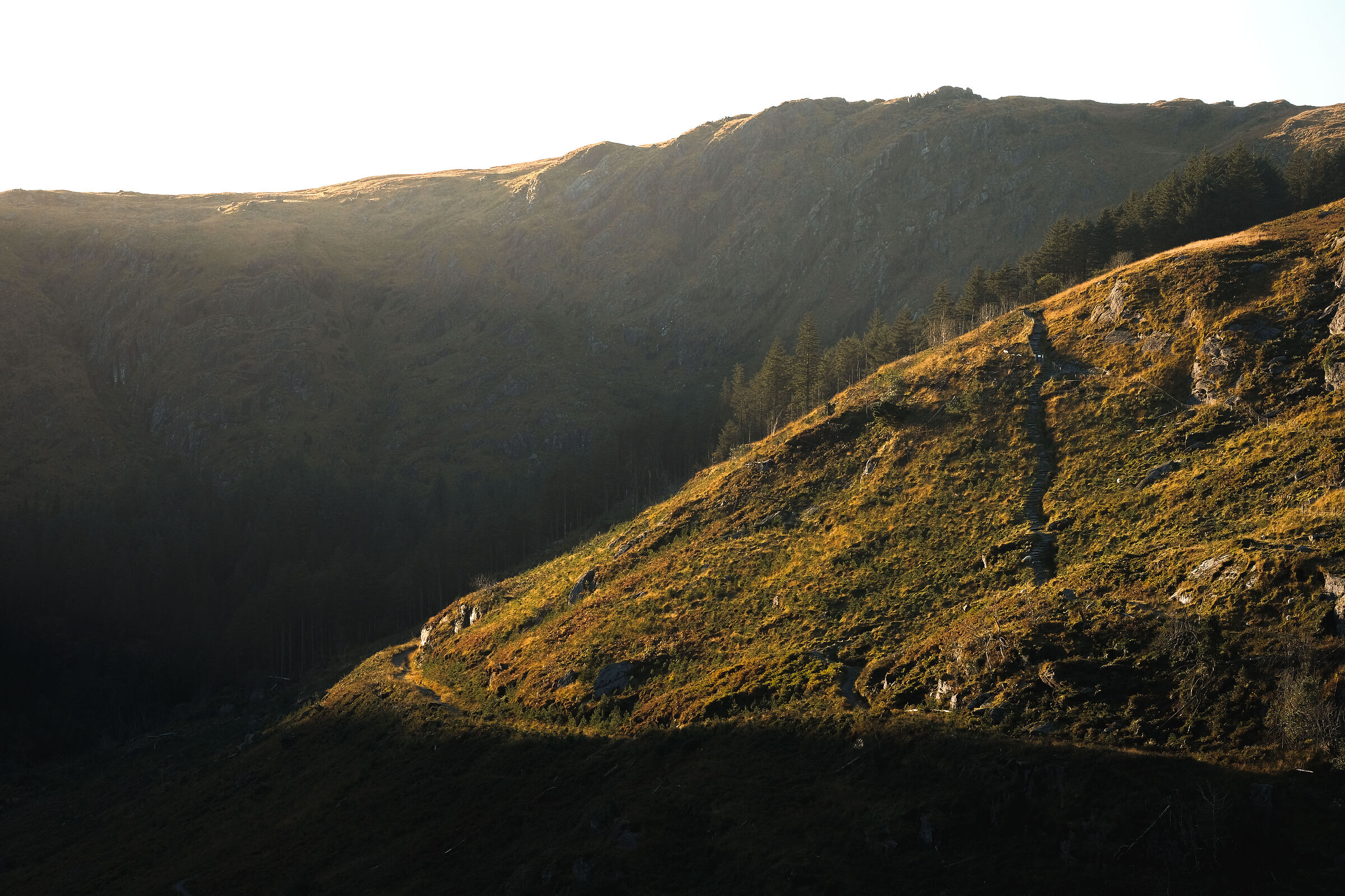 Gaugonne Barra, Cork, Ireland