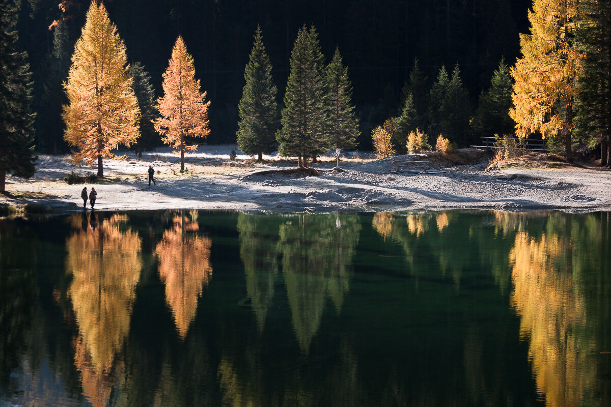 Il mattino ha l'oro in bocca ...