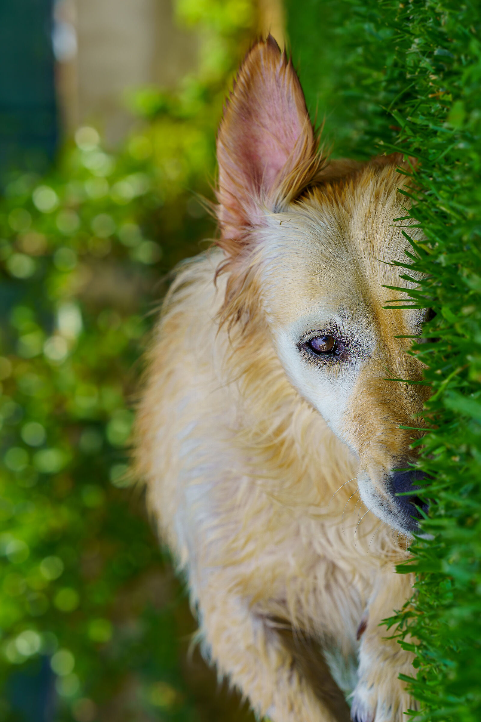 Prospettive differenti