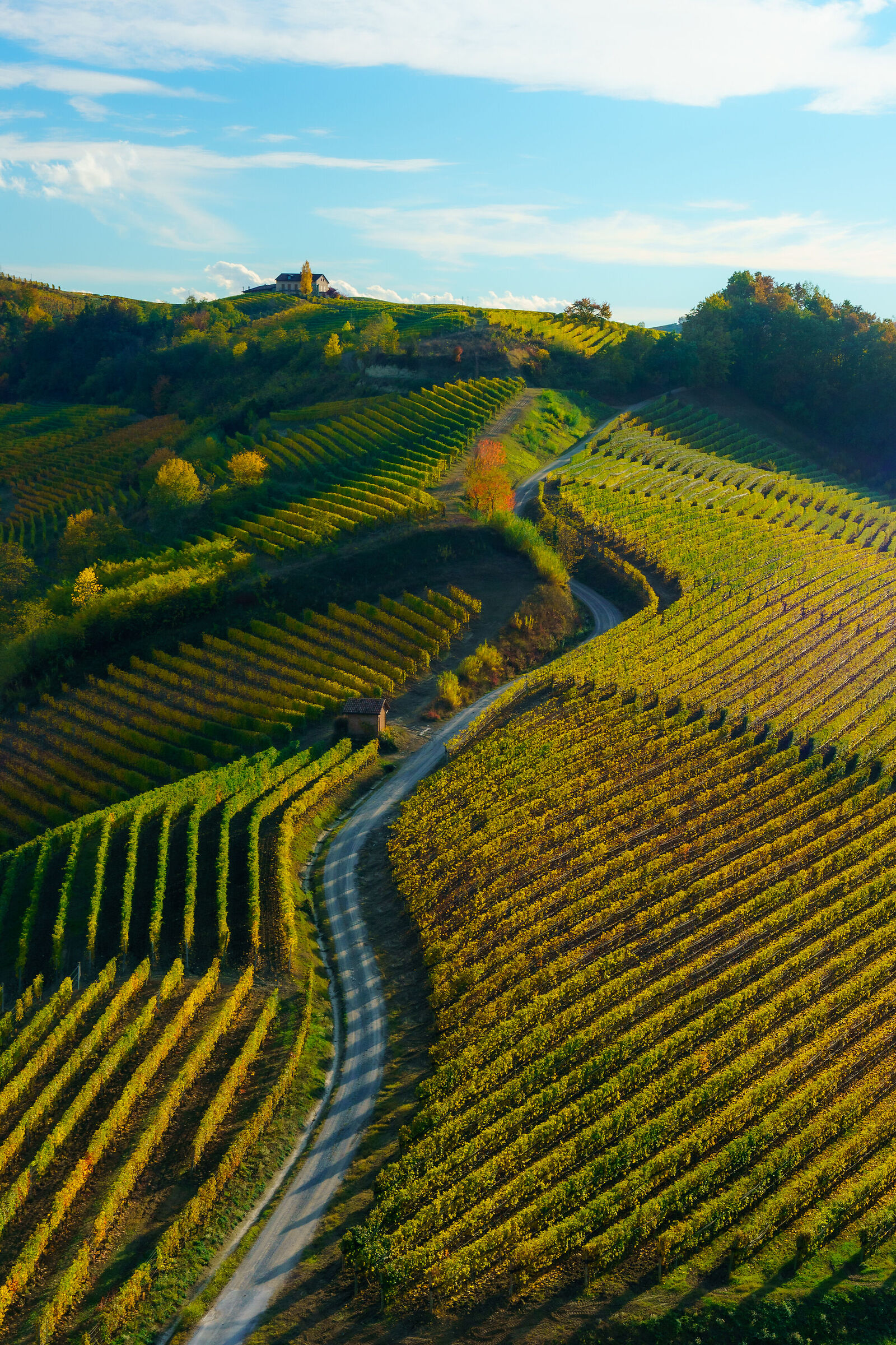 Tramonto autunnale su Barolo