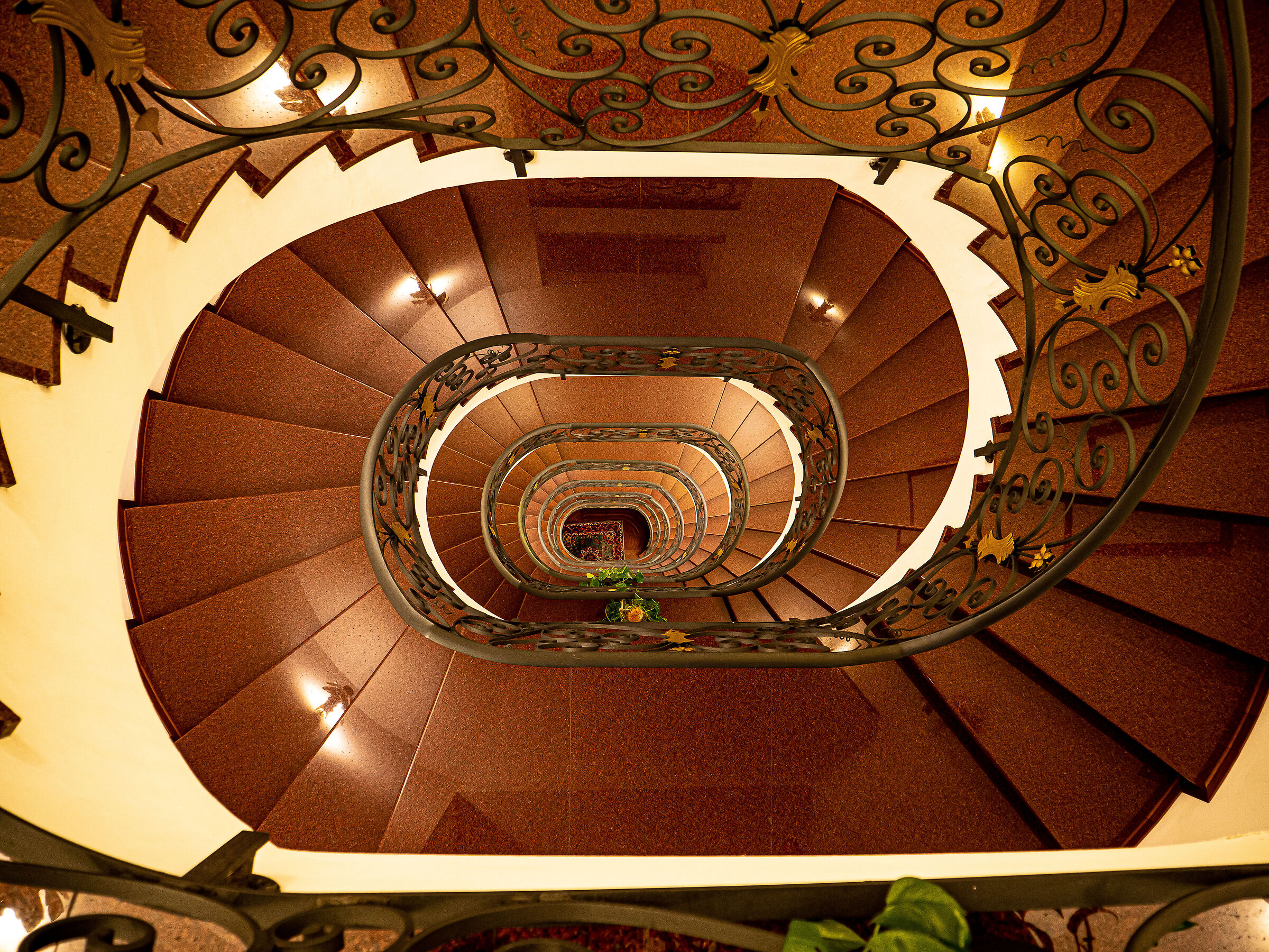 Untitled Photo