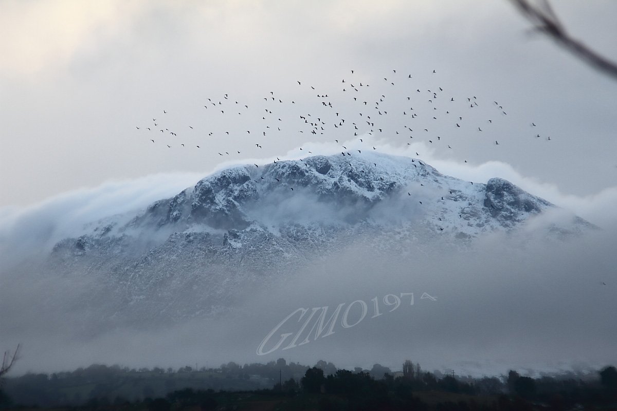 The storm before the calm ...