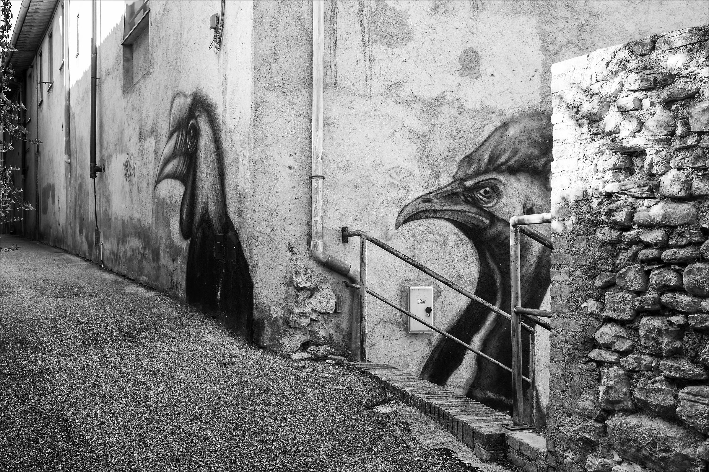 Ob Queberry a Spoleto