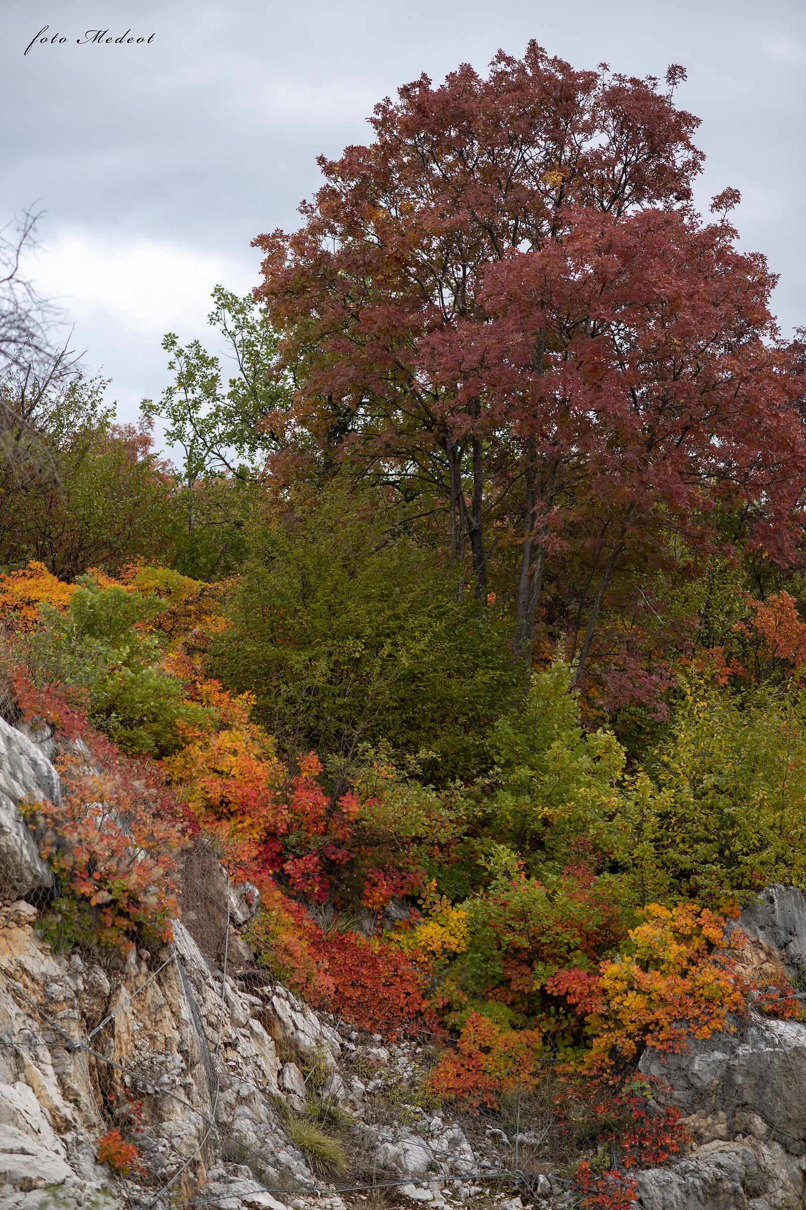 I colori del Carso in Autunno