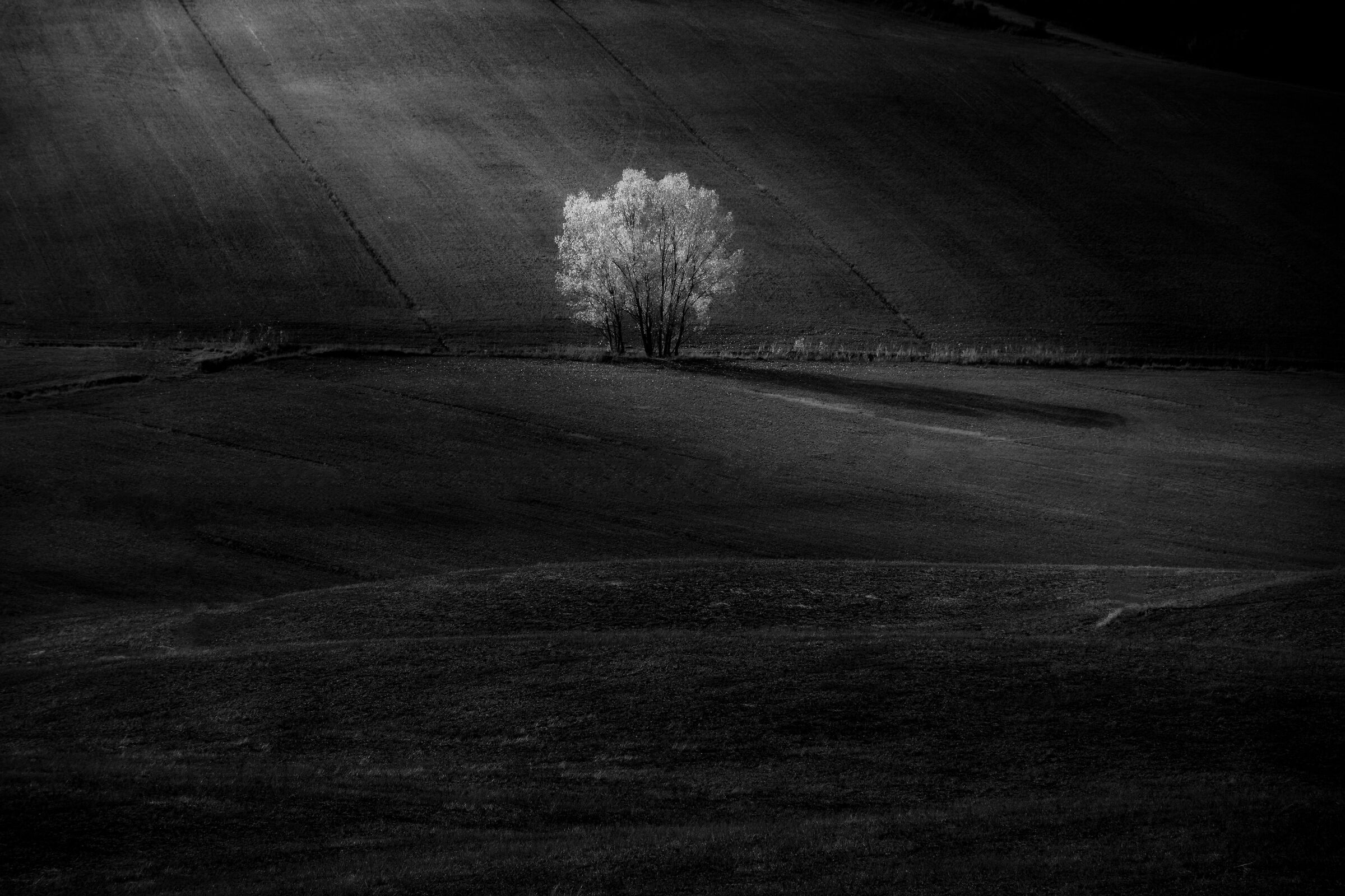 Autumn in the Crete II