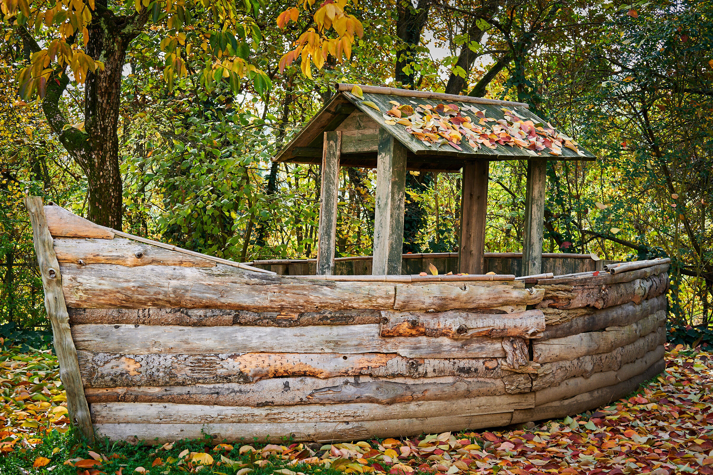 Come una barca nel bosco...