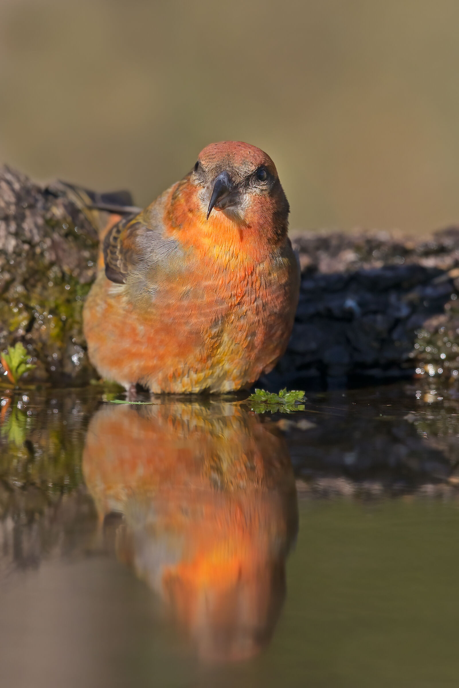 Crociere alle ultime luci...