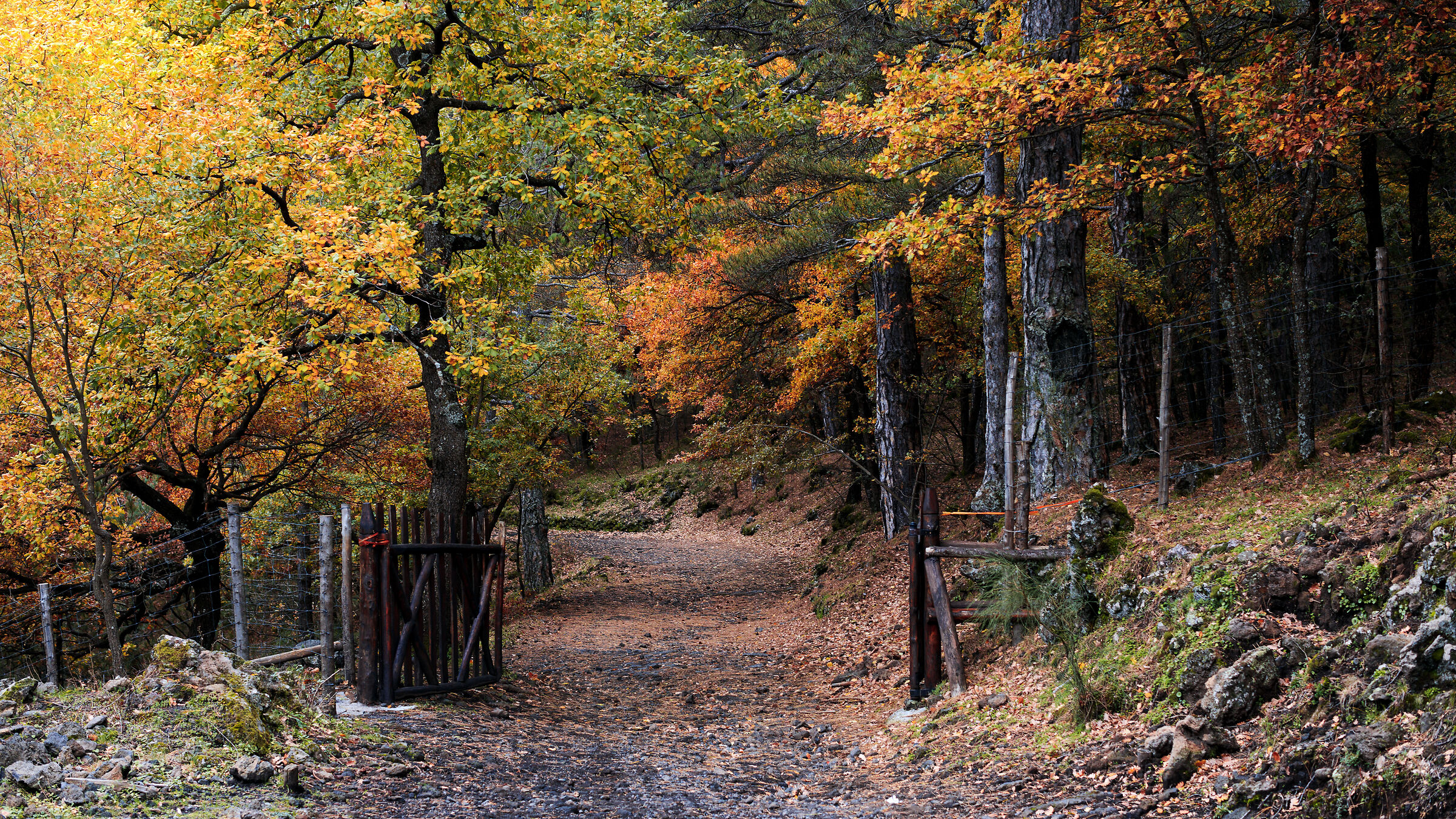 La porta del Paradiso