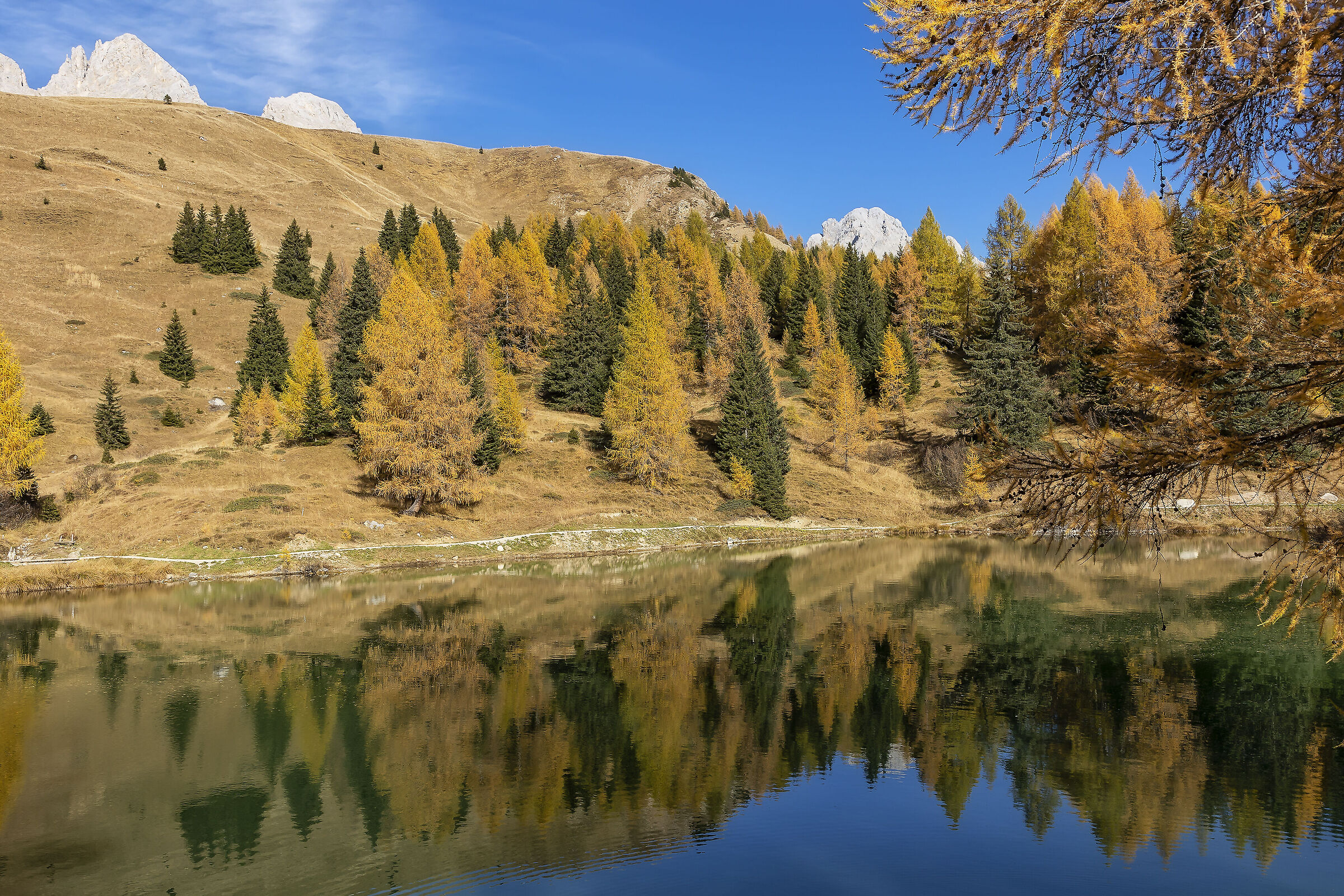 Riflessi d'autunno