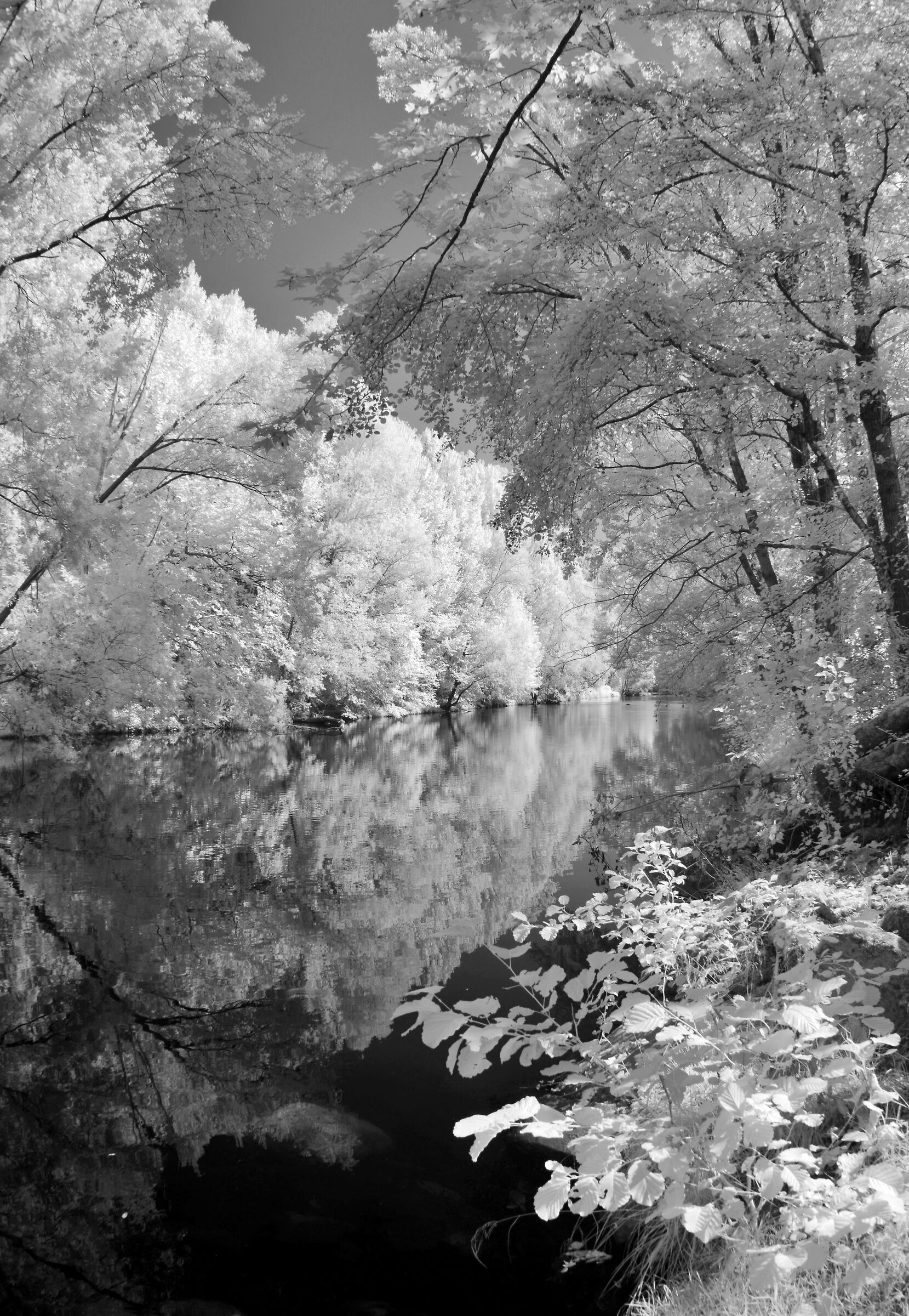 Fiume Chiese infrered I