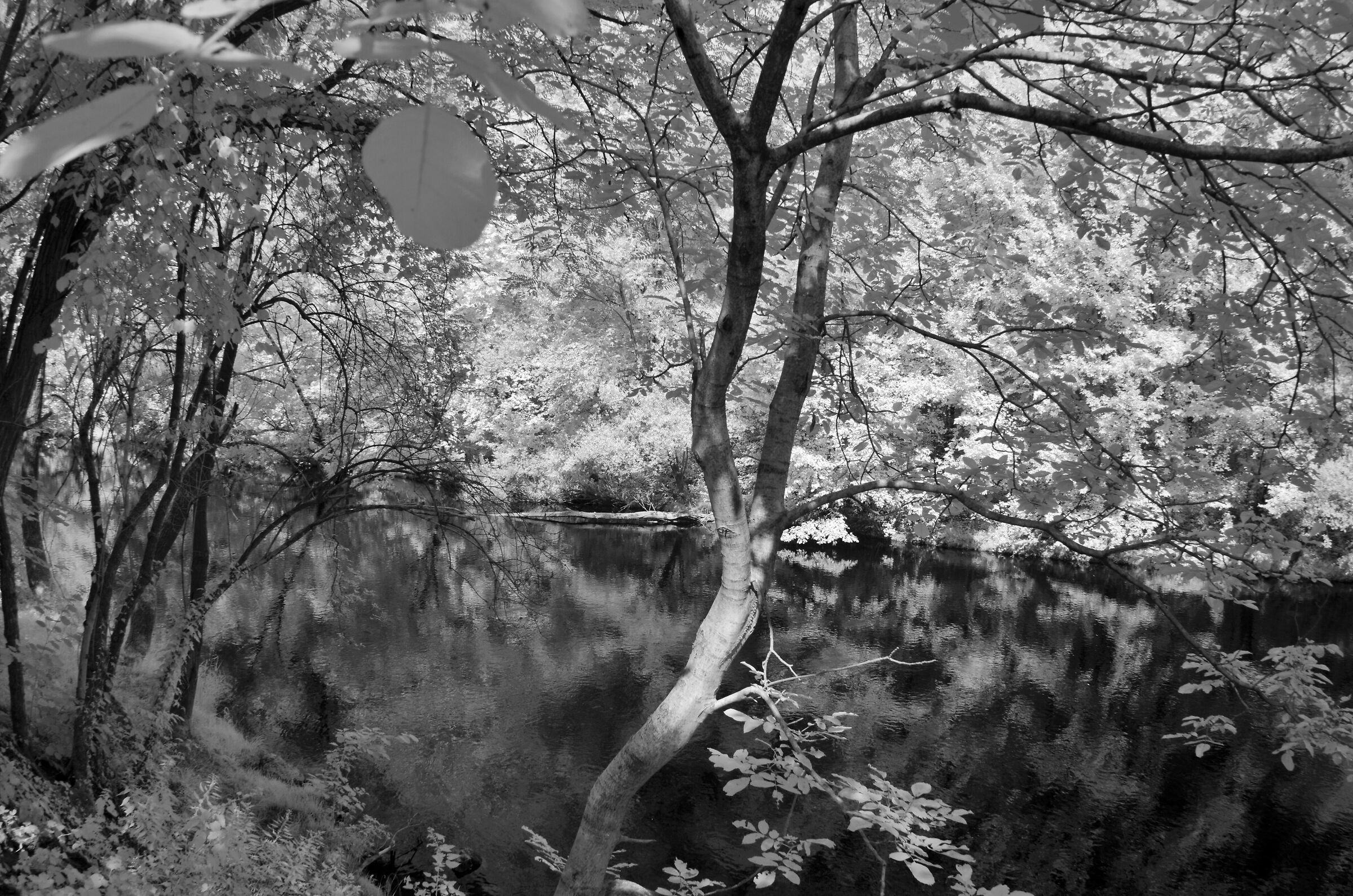 Fiume Chiese infrared III