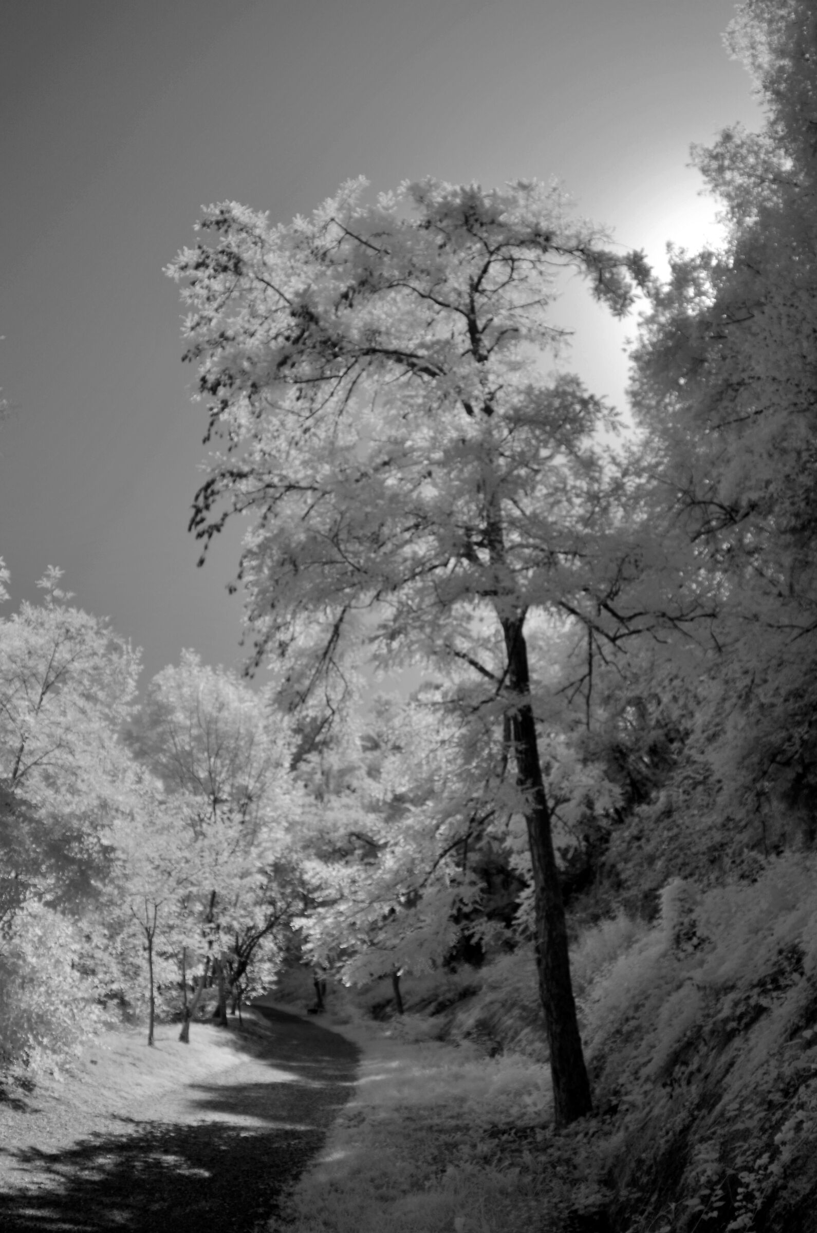 River Churches infrared V