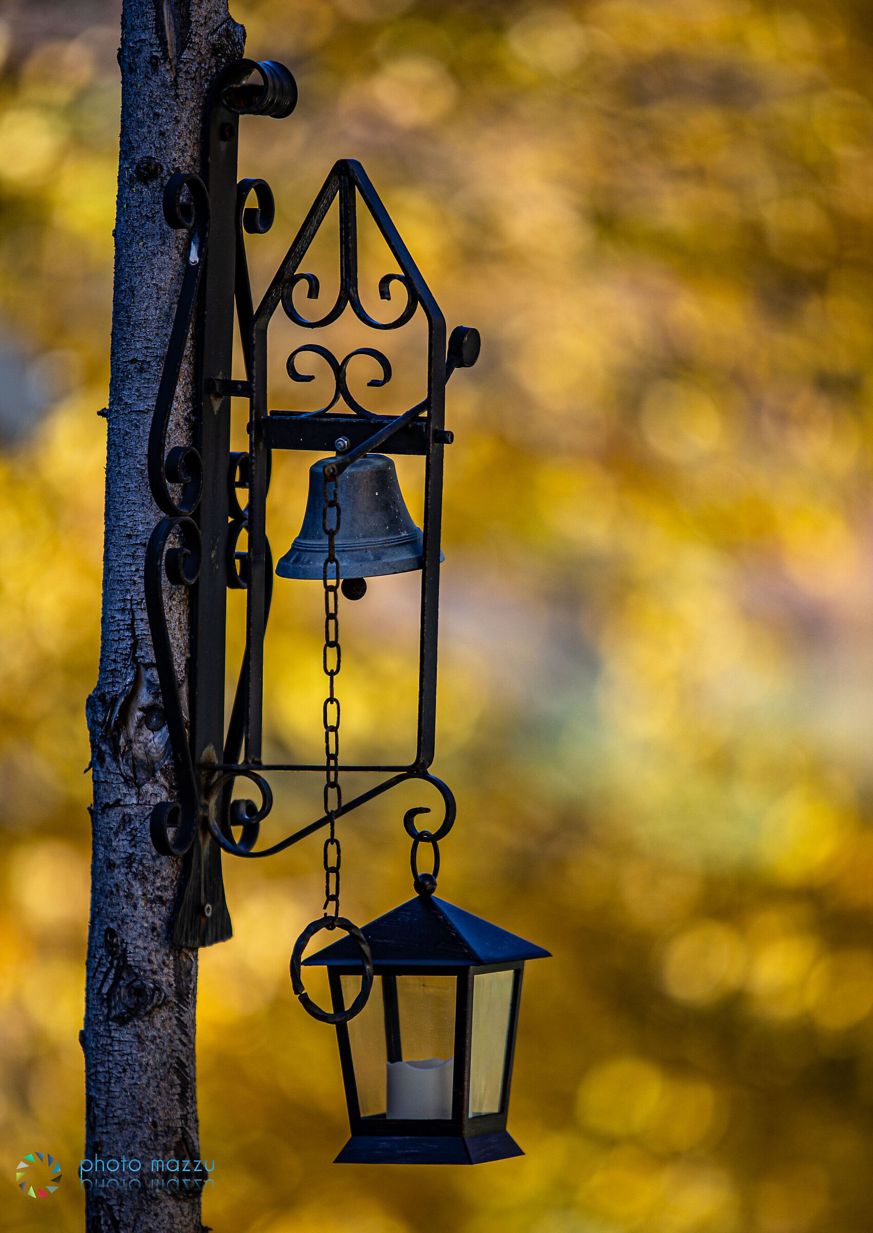 Composizione autunnale