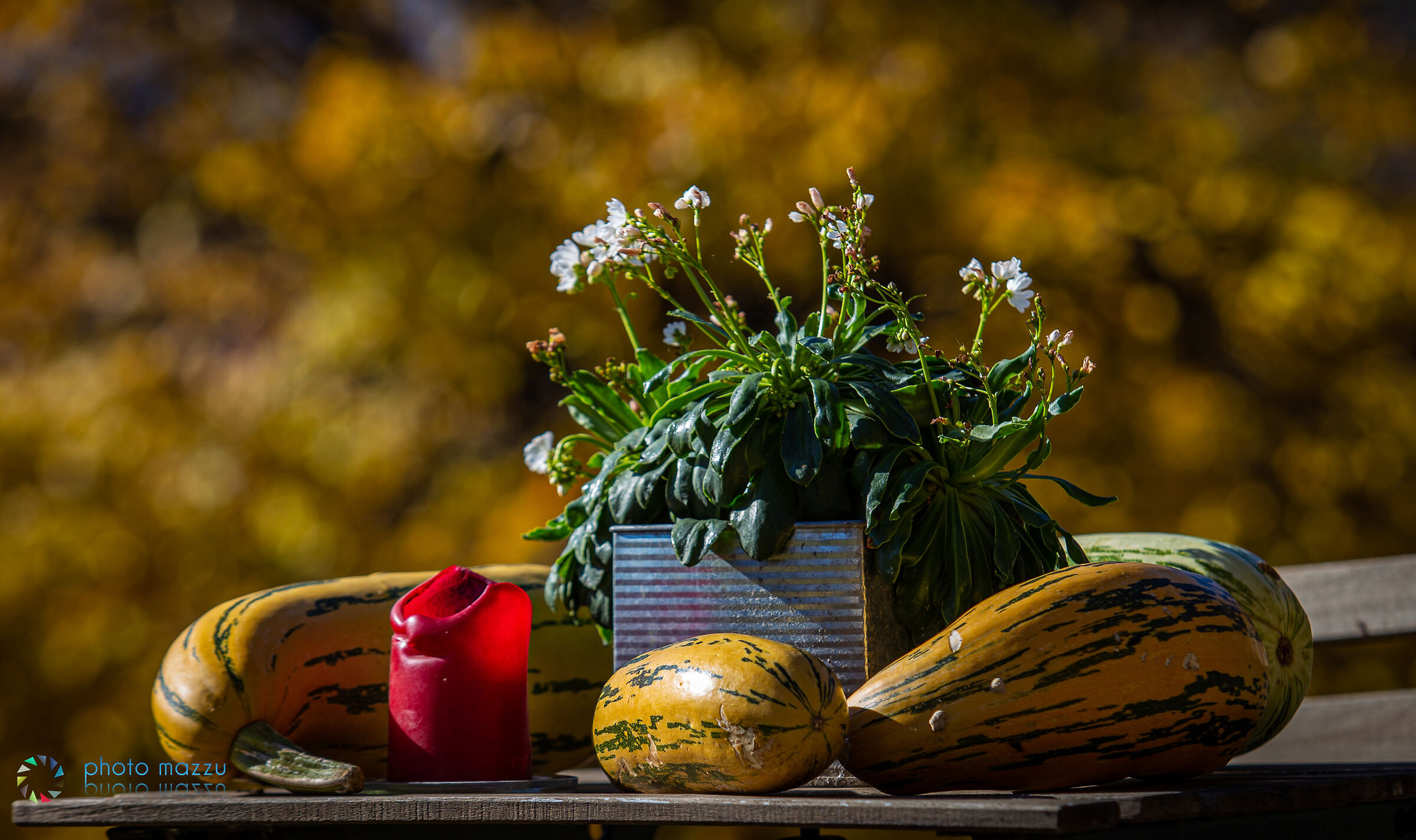 Frutti e colori dell'autunno