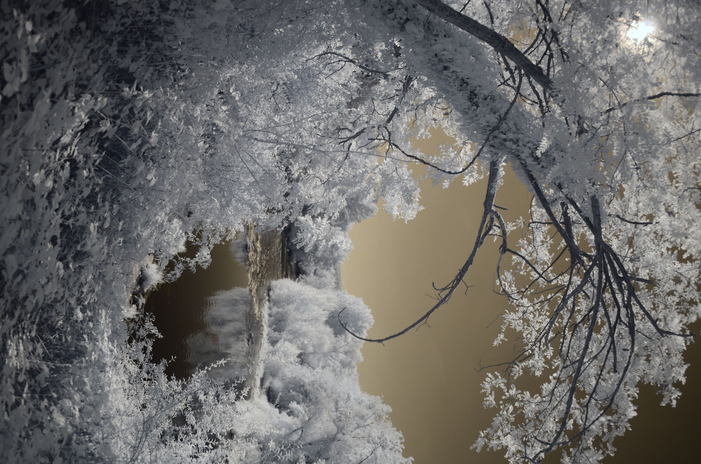 Fiume Chiese infrared viii