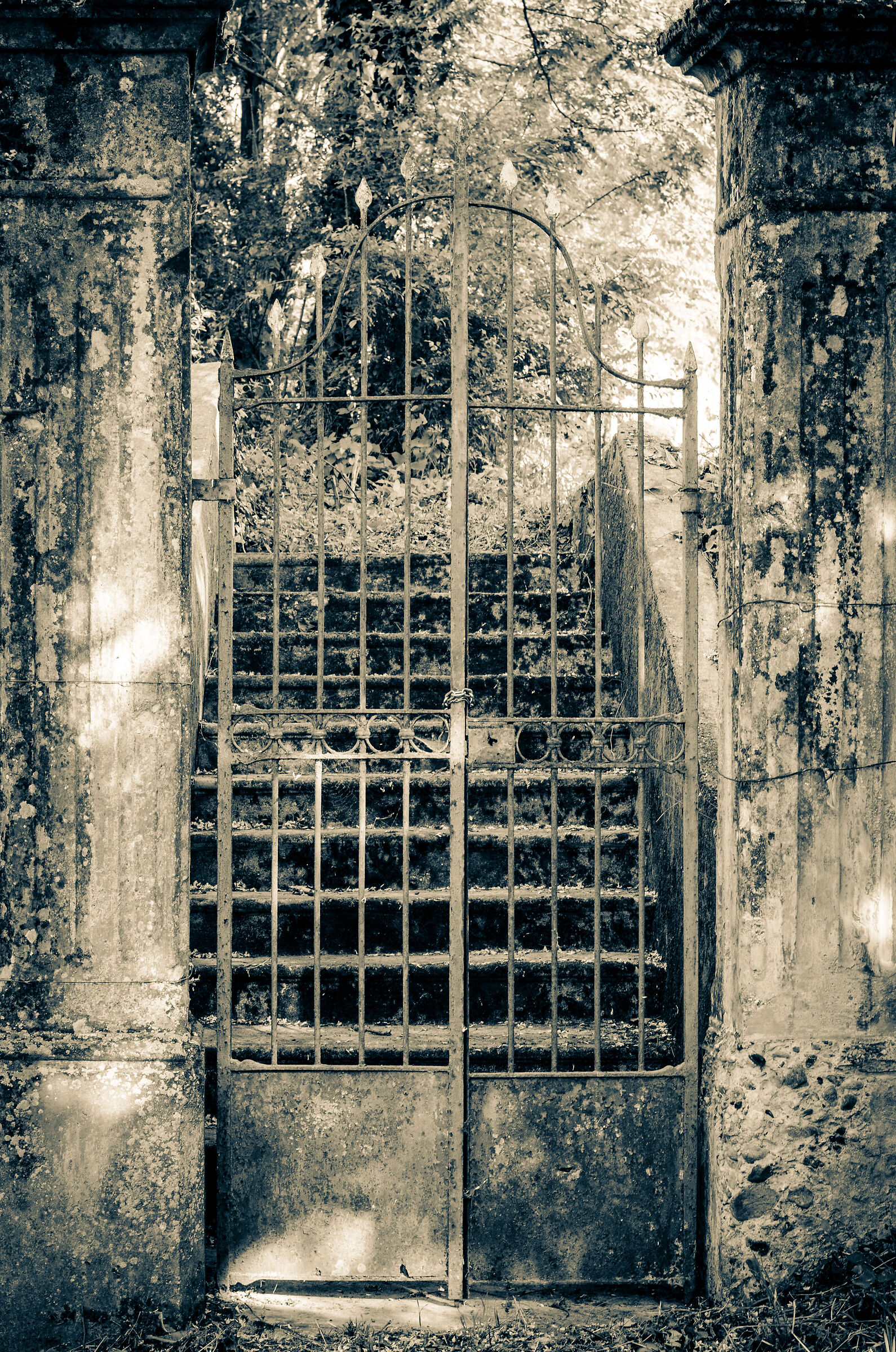 Vecchio cancello
