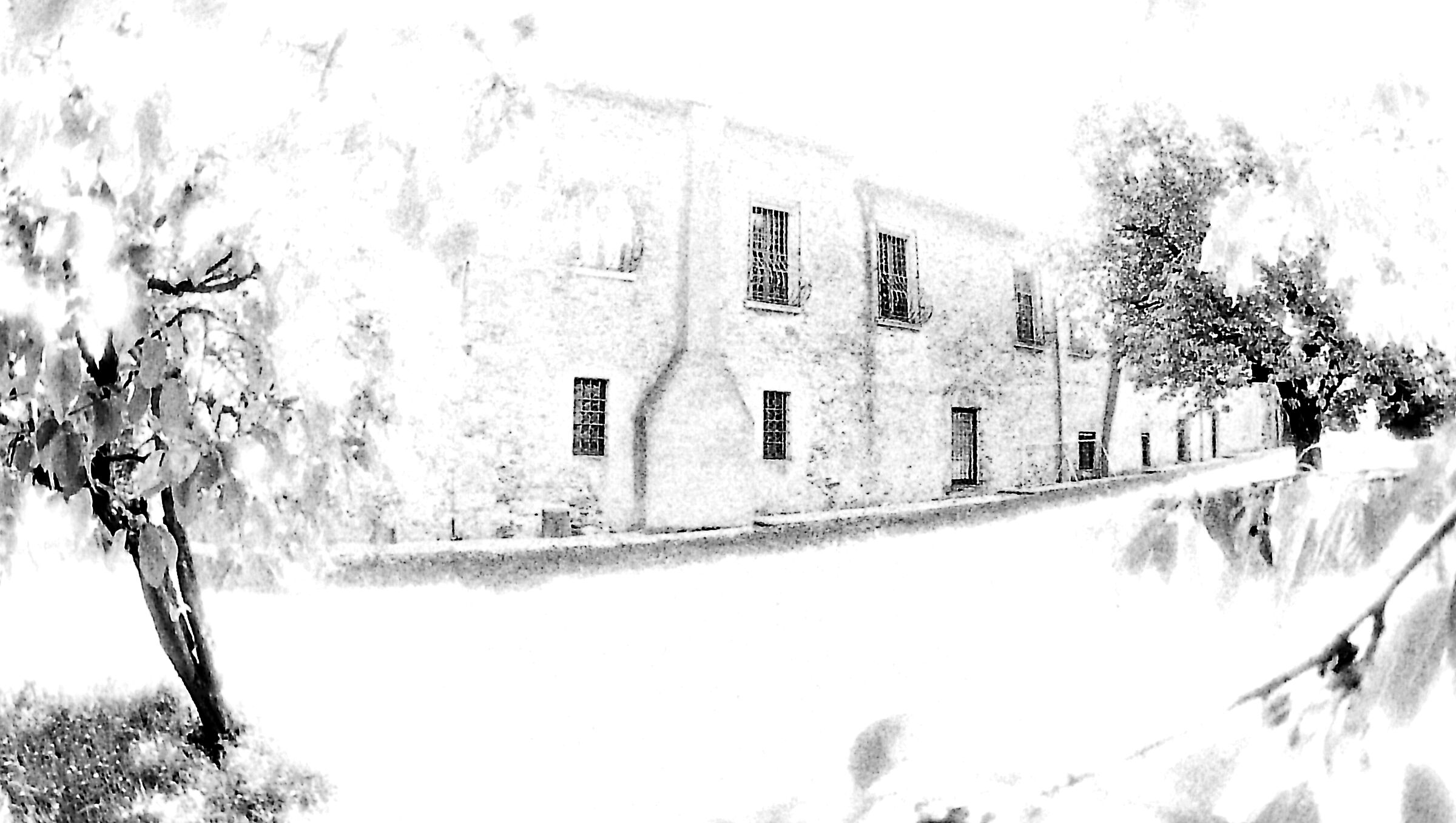 Giardino dietro villa del '600 I  Washi film