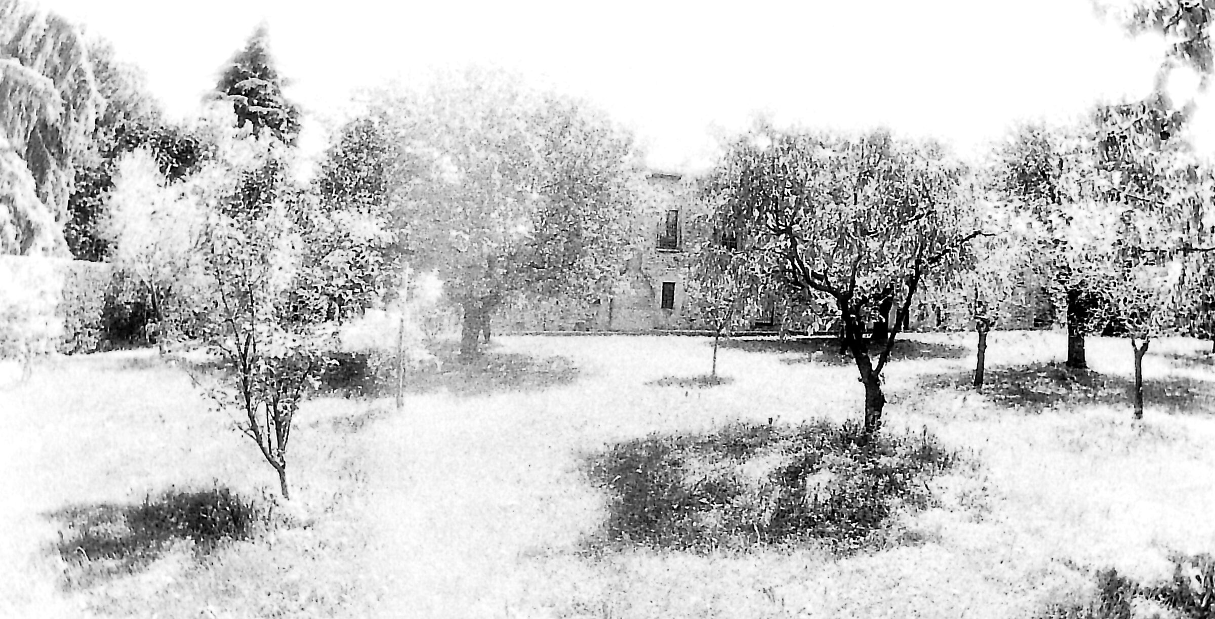 Giardino dietro villa del '600 II  Washi film