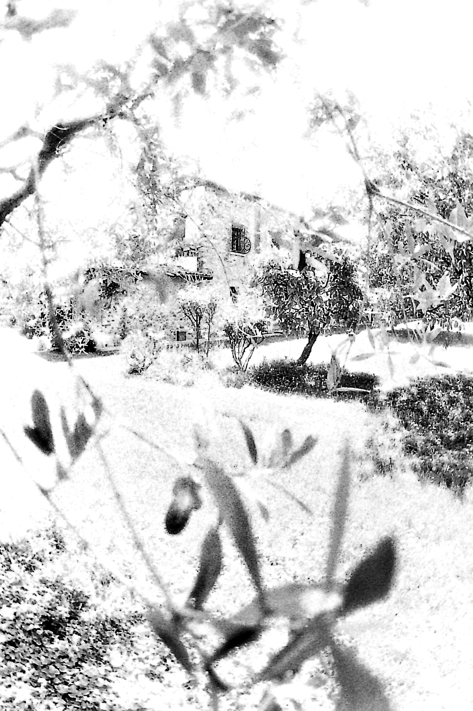 Casa fra gli ulivi - Washi film