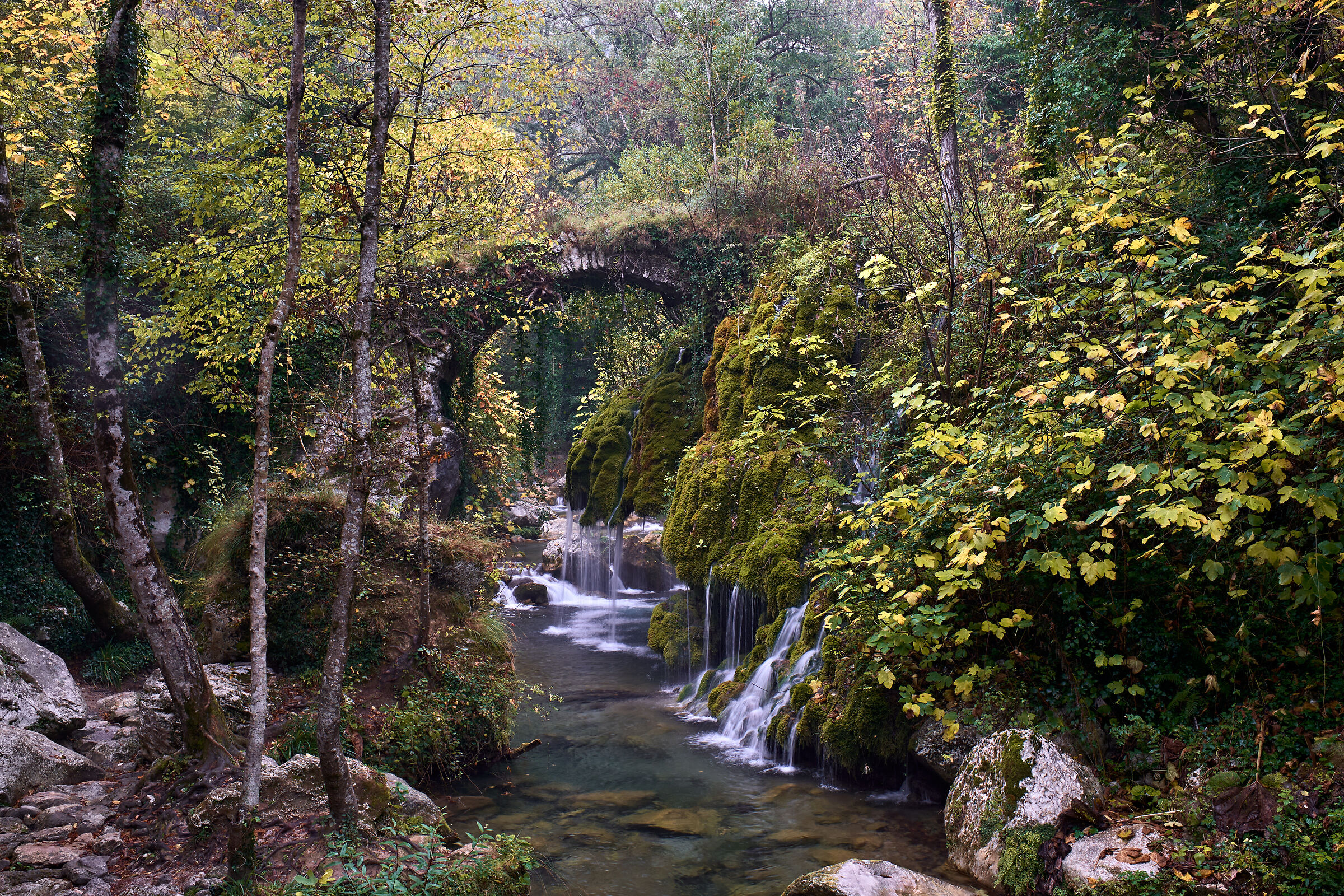 Untitled Photo