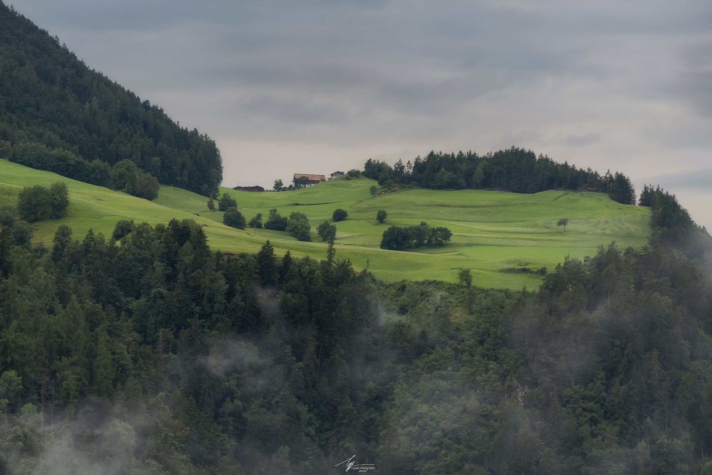 Tagusa (bz) vista da Laion