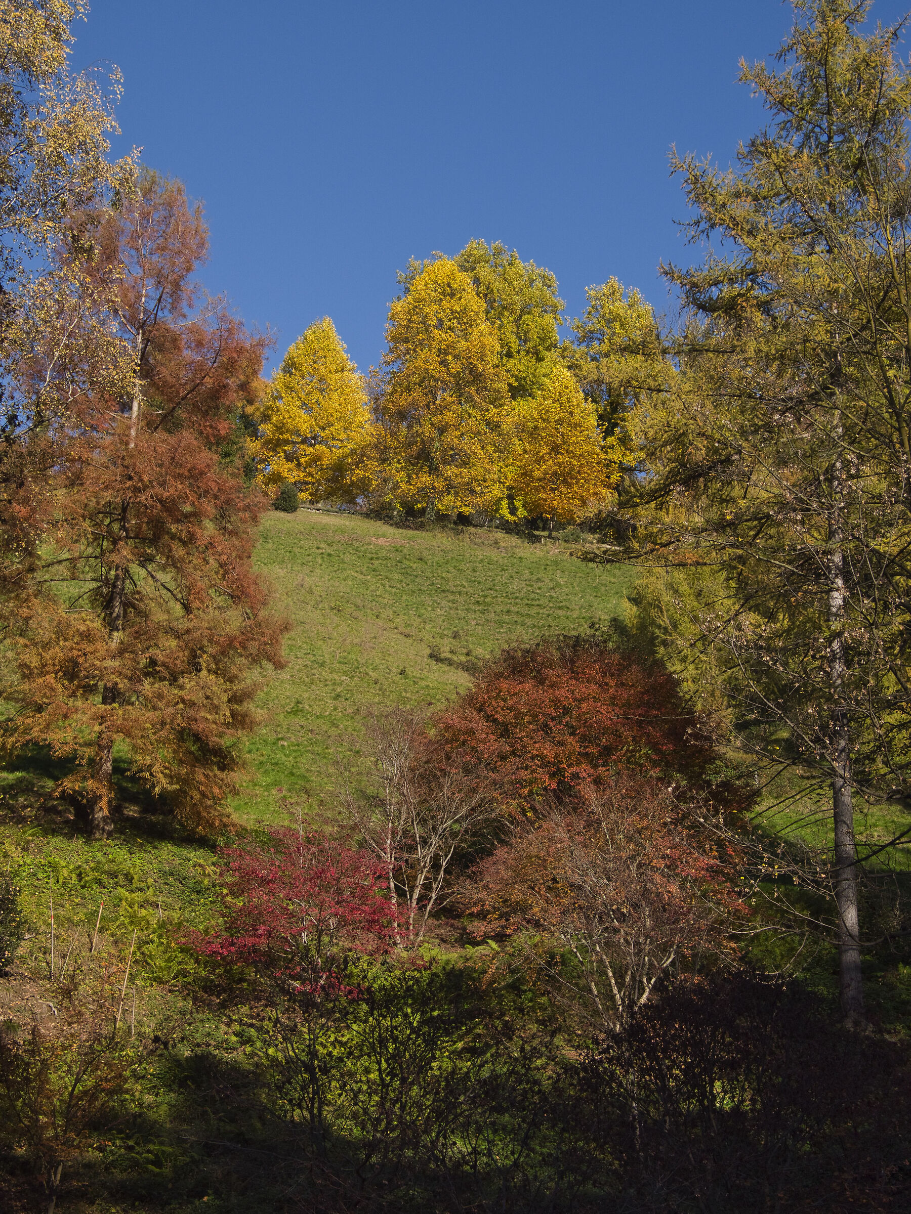 Parco della Burcina 6 Novembre 2021